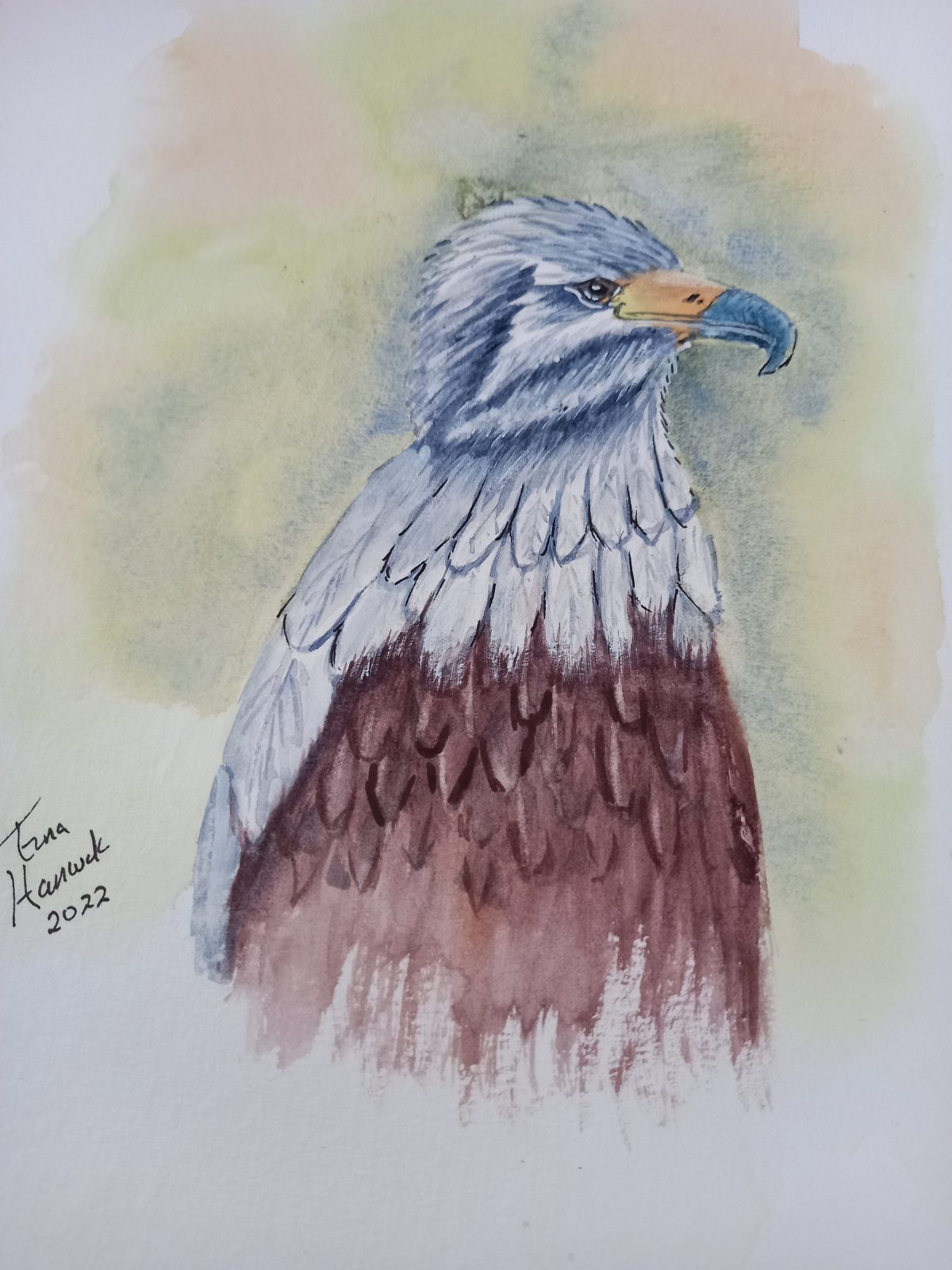 Falcon
