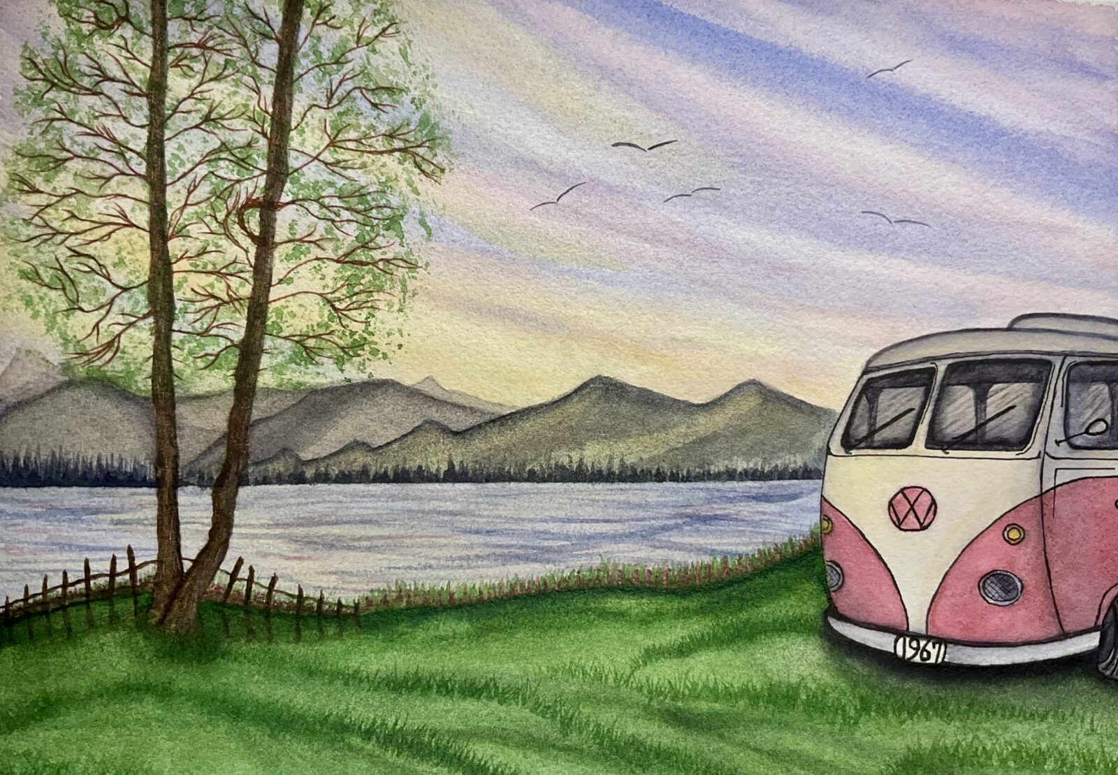 Volkswagen camper