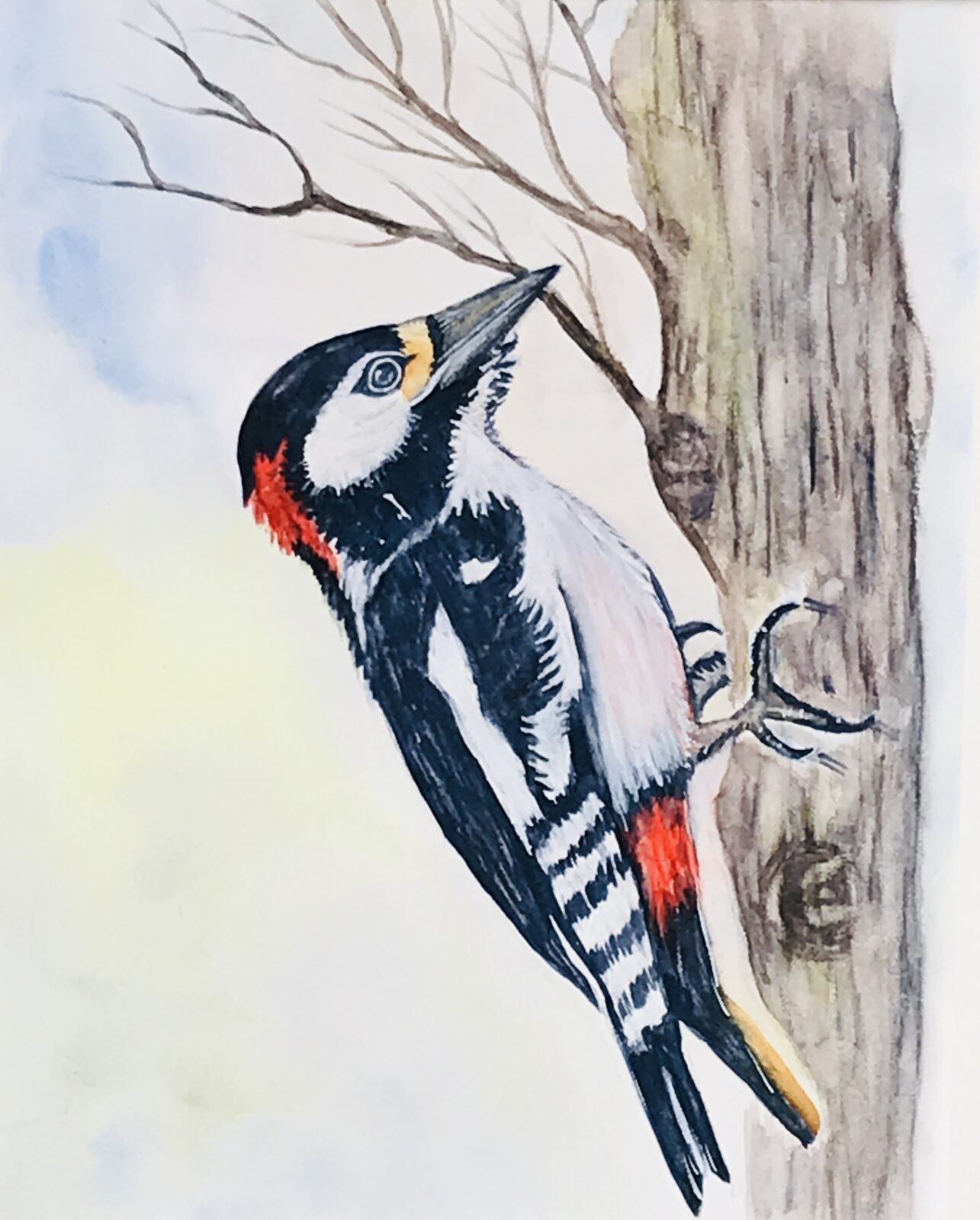 Woodpecker