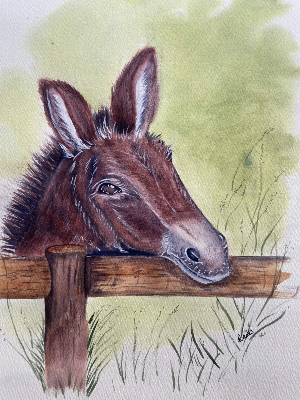 Donkey workshop