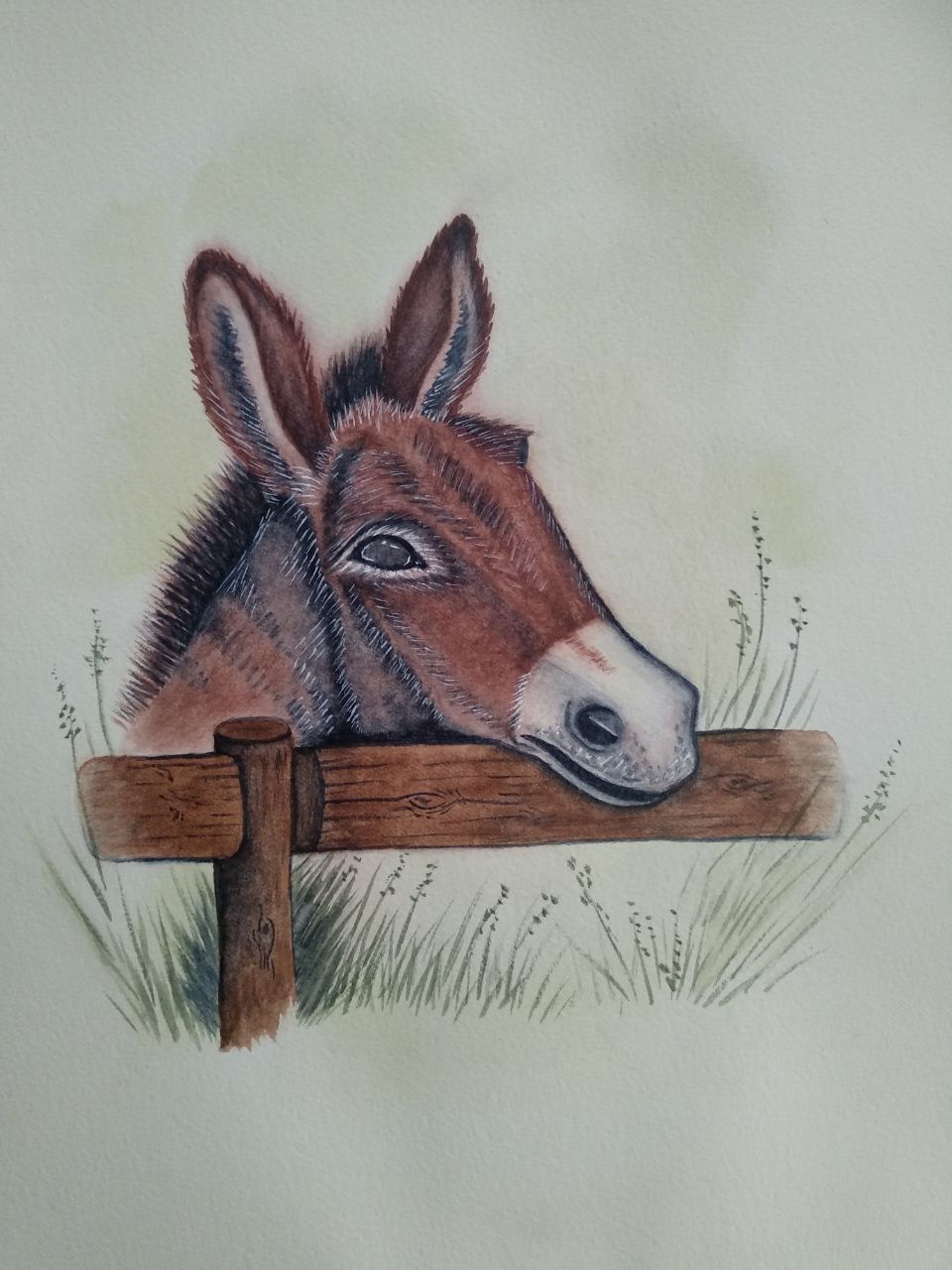 A donkey peeking over an old fence