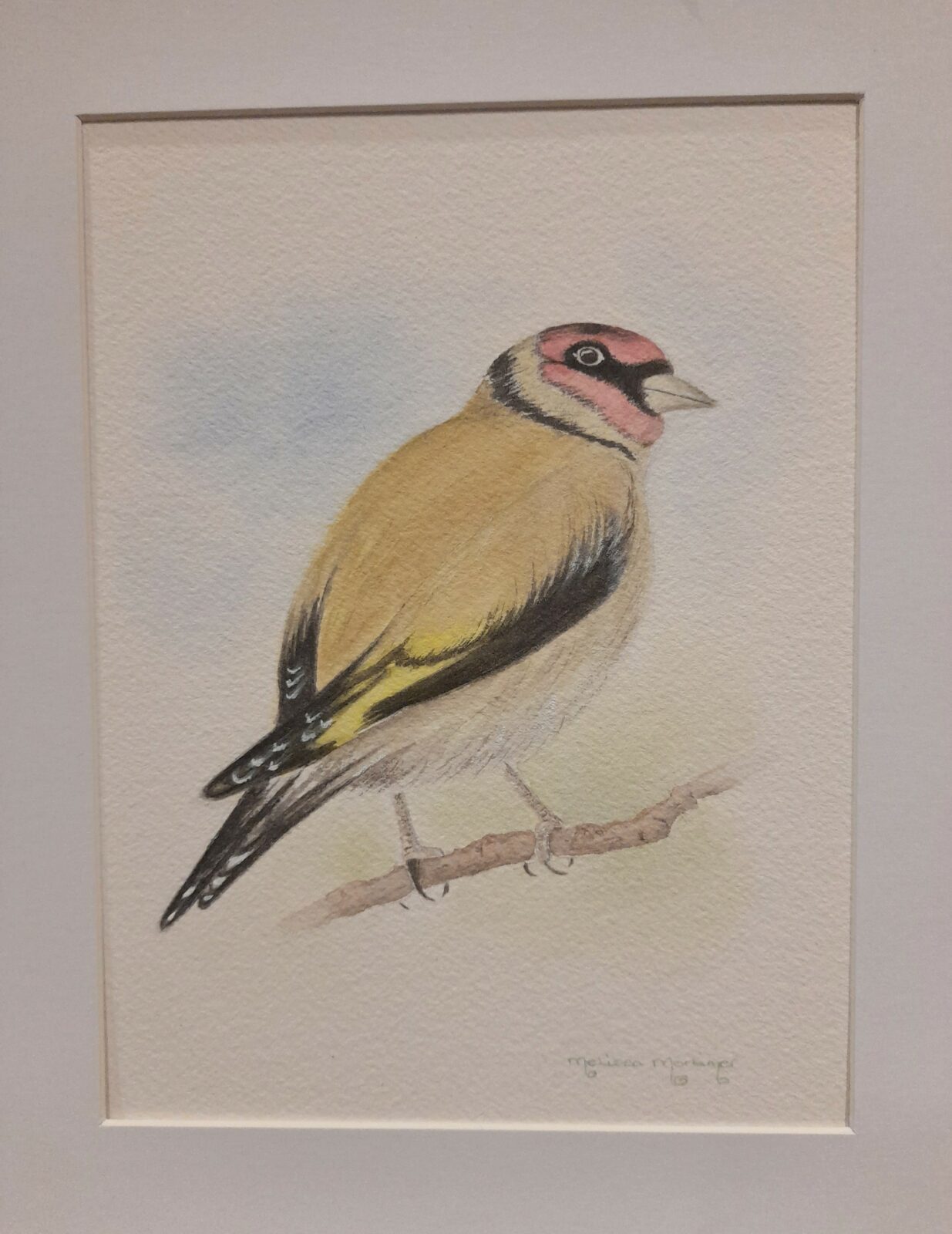 Goldfinch
