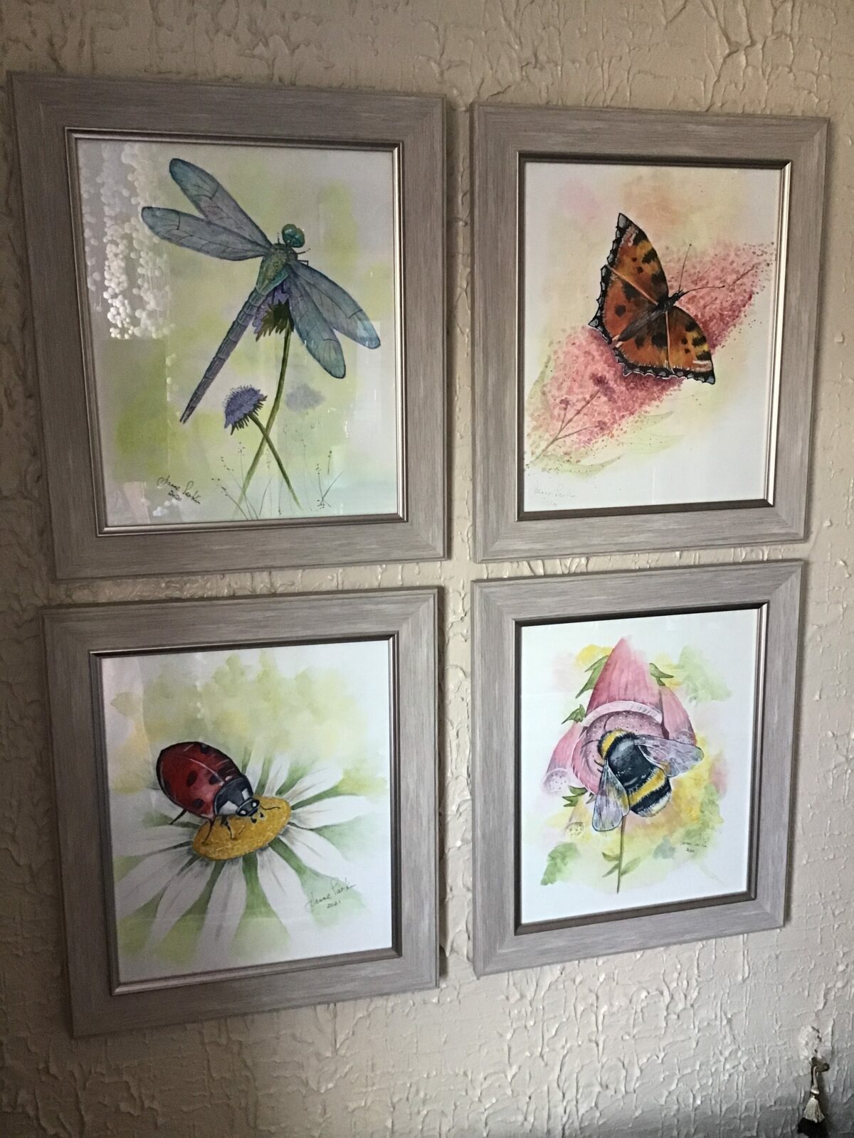 My bug Collection