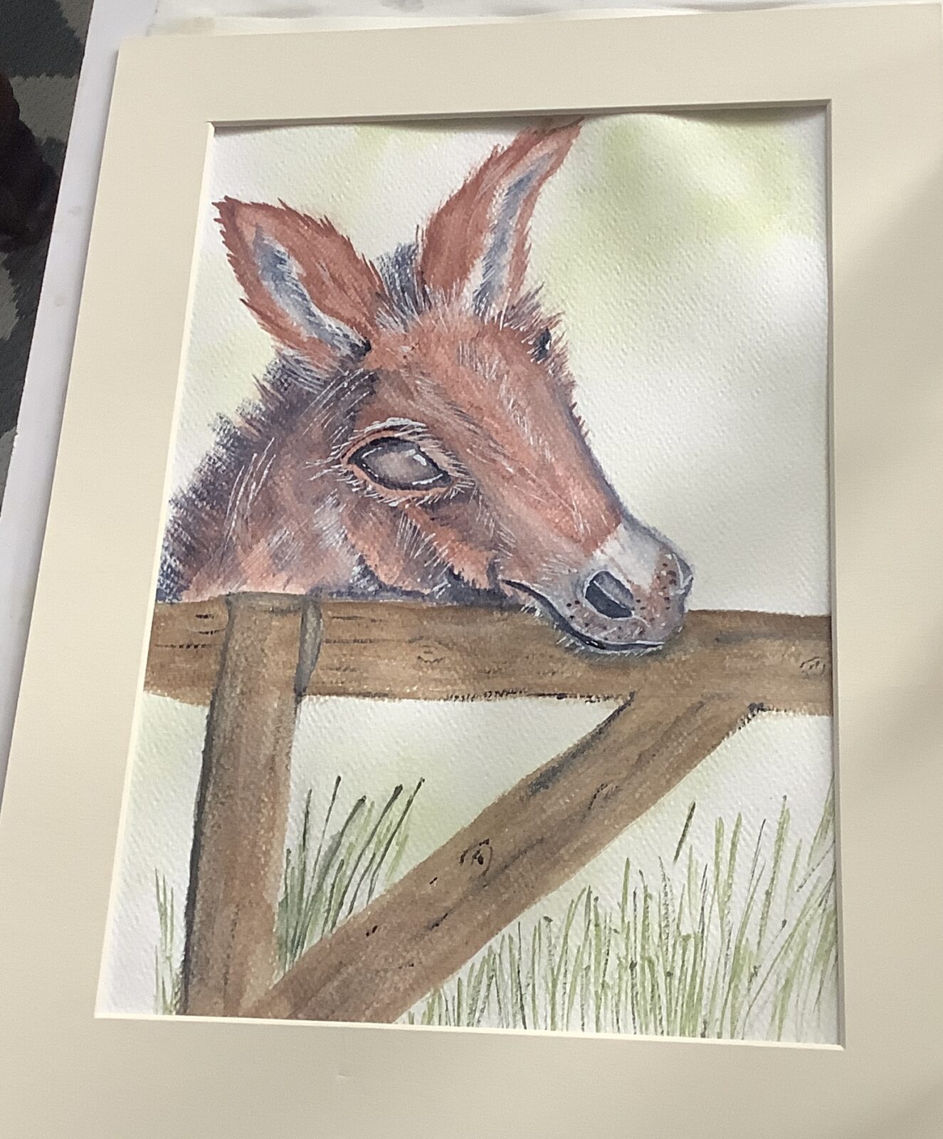 Donkey