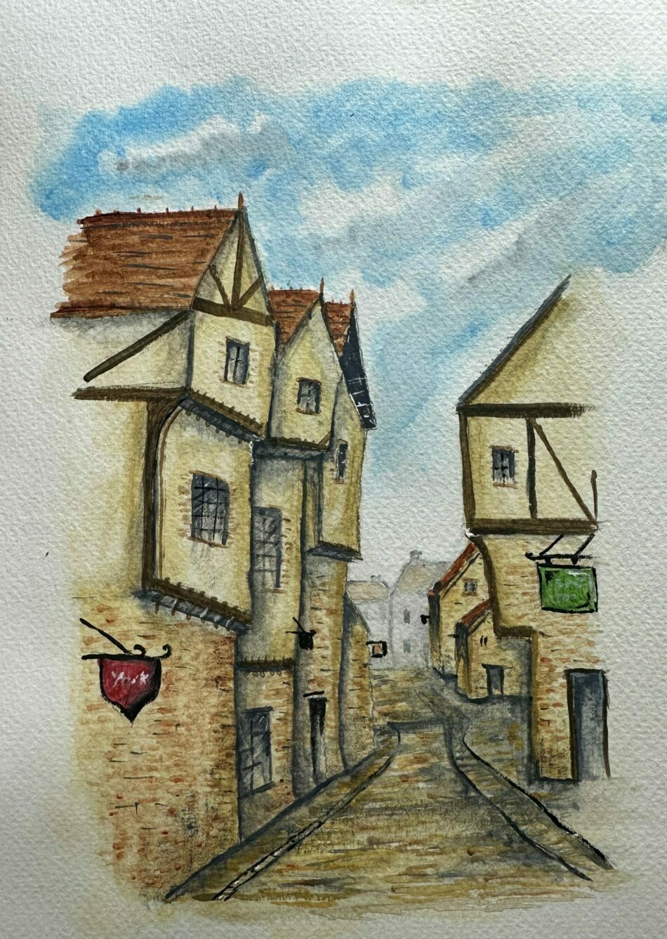 the shambles York