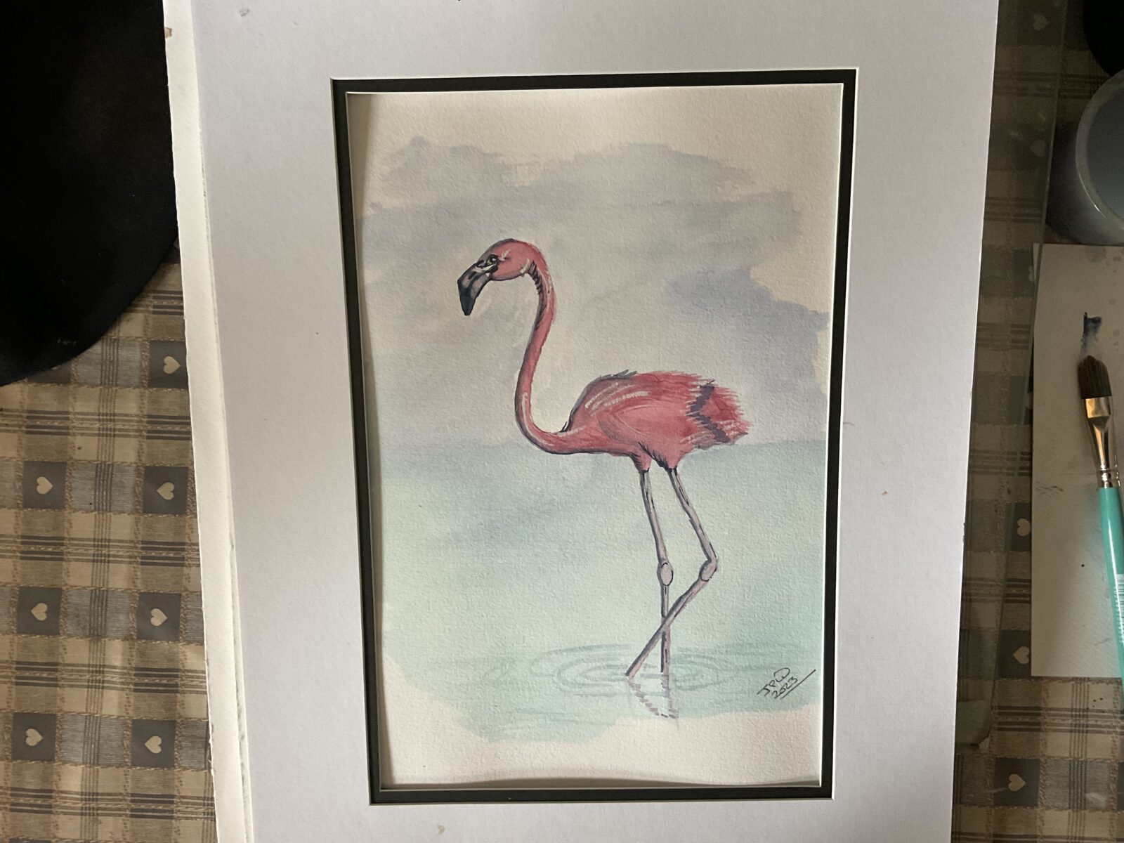 Flamingo