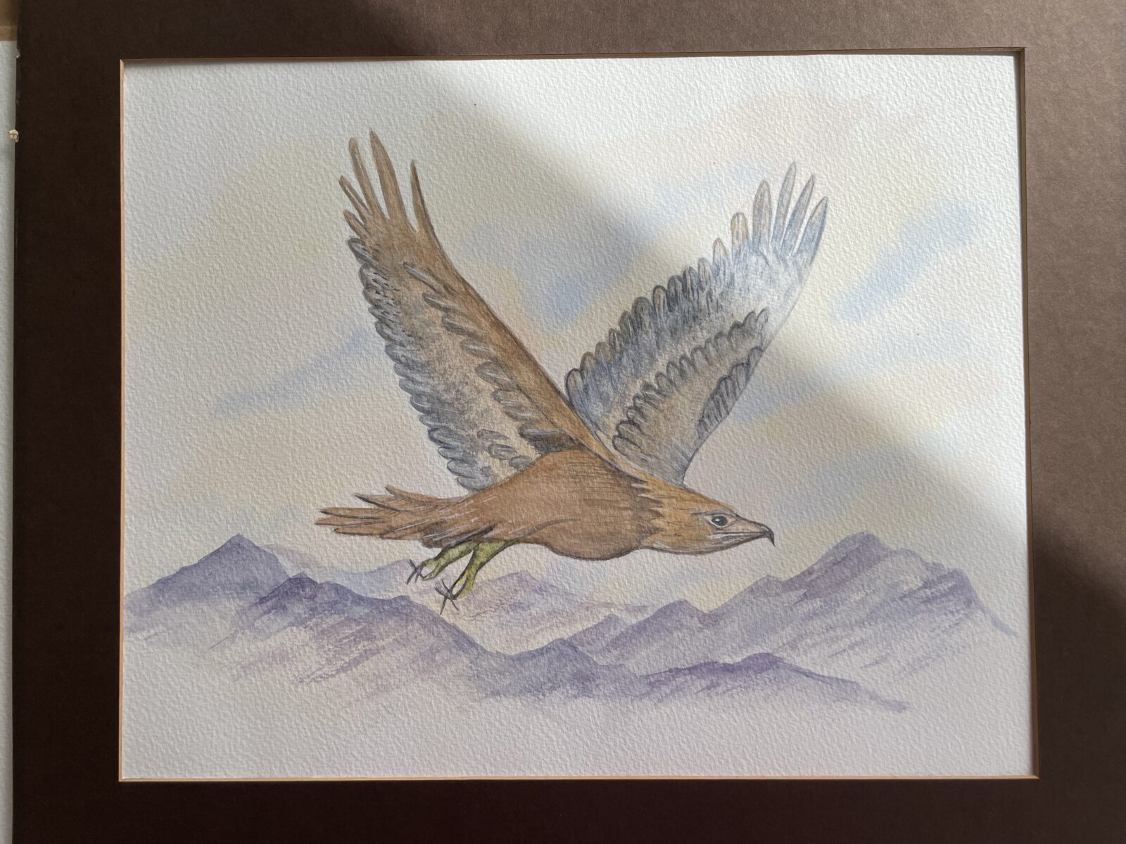 Golden eagle