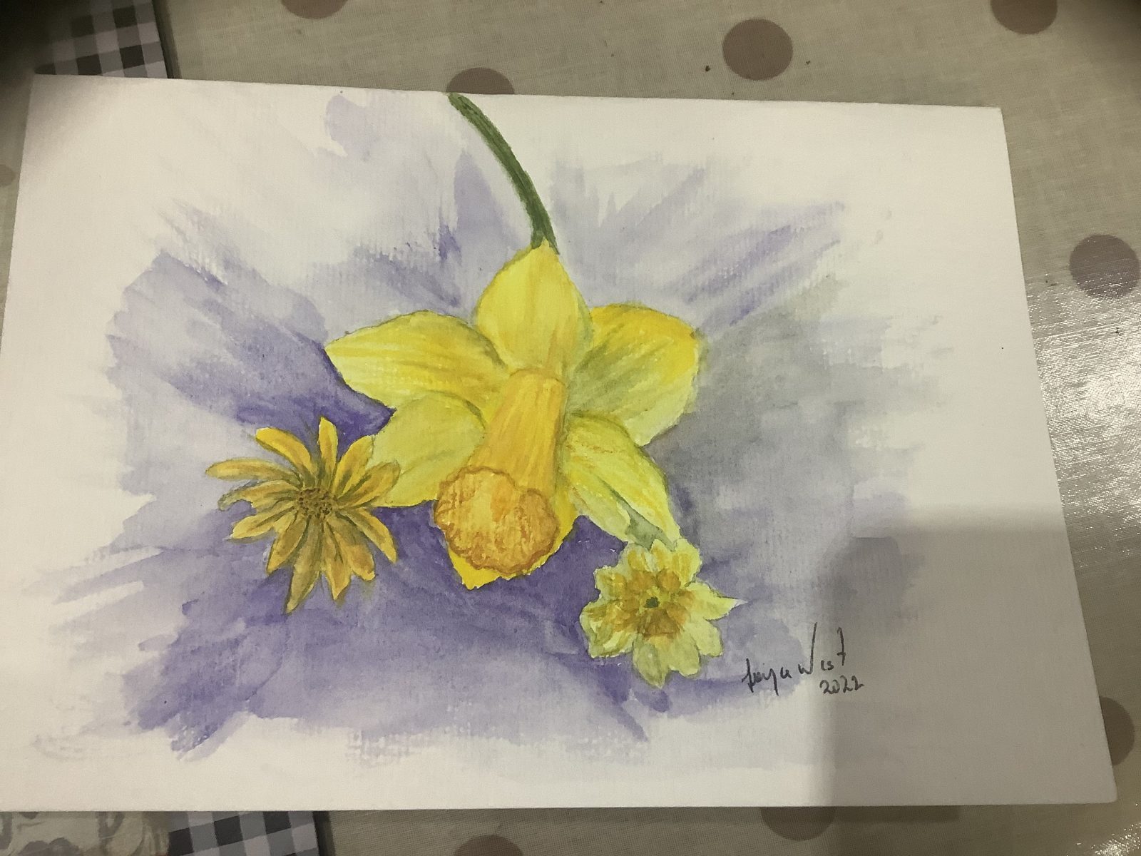 Daffodils