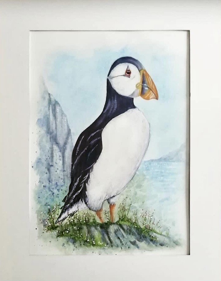 Puffin