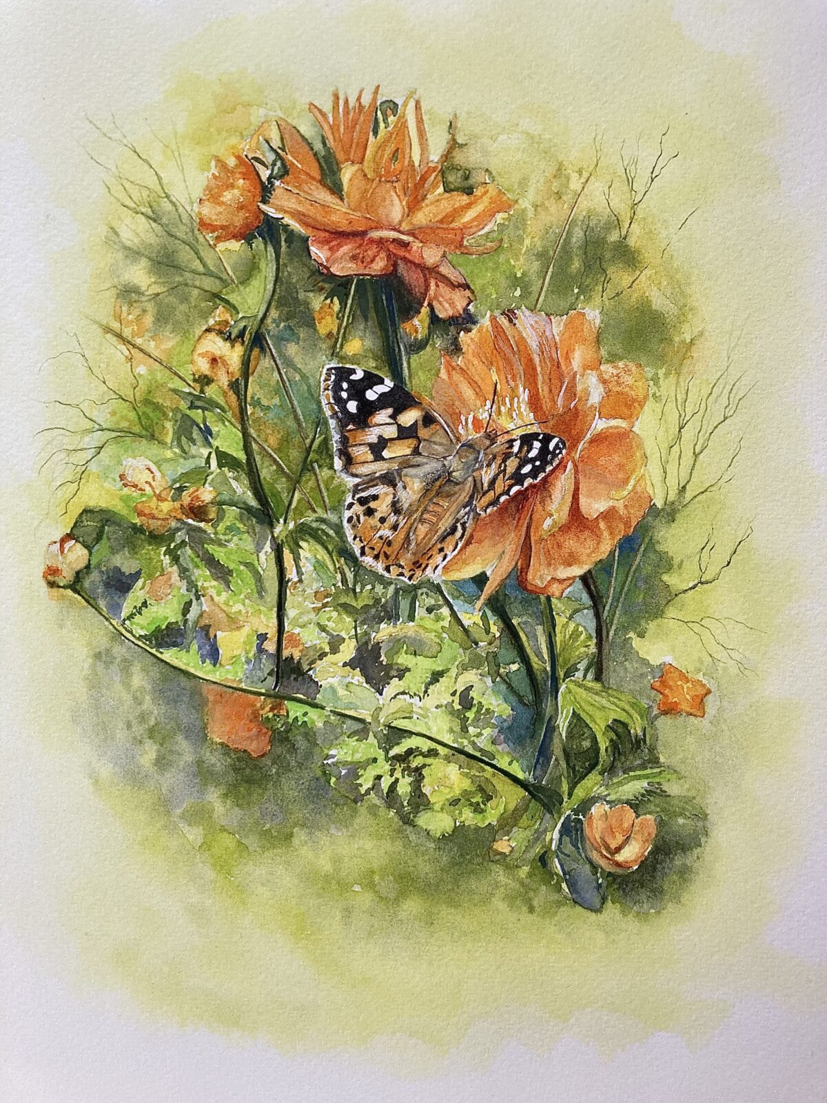 Painted Lady Butterfly