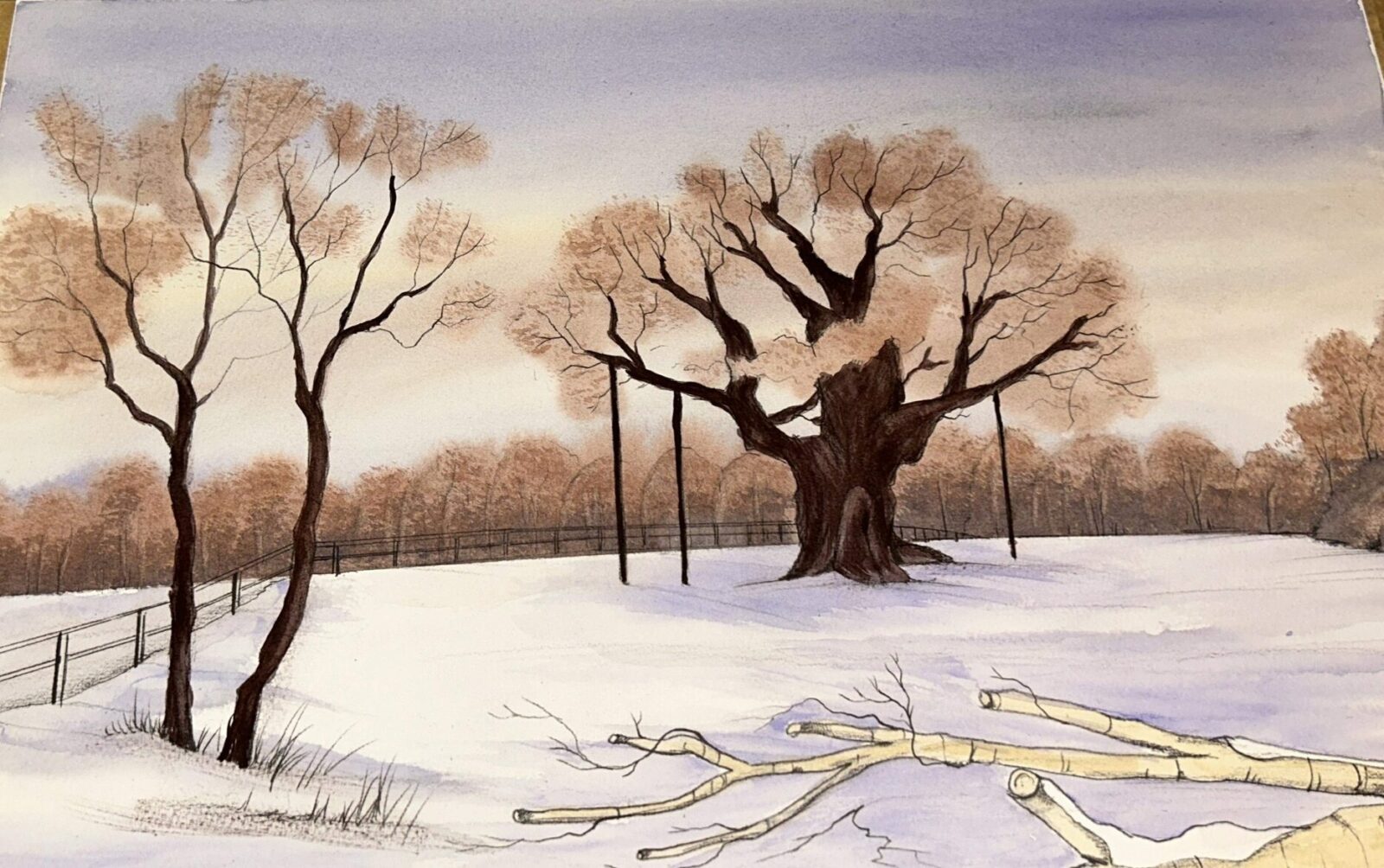 Major Oak