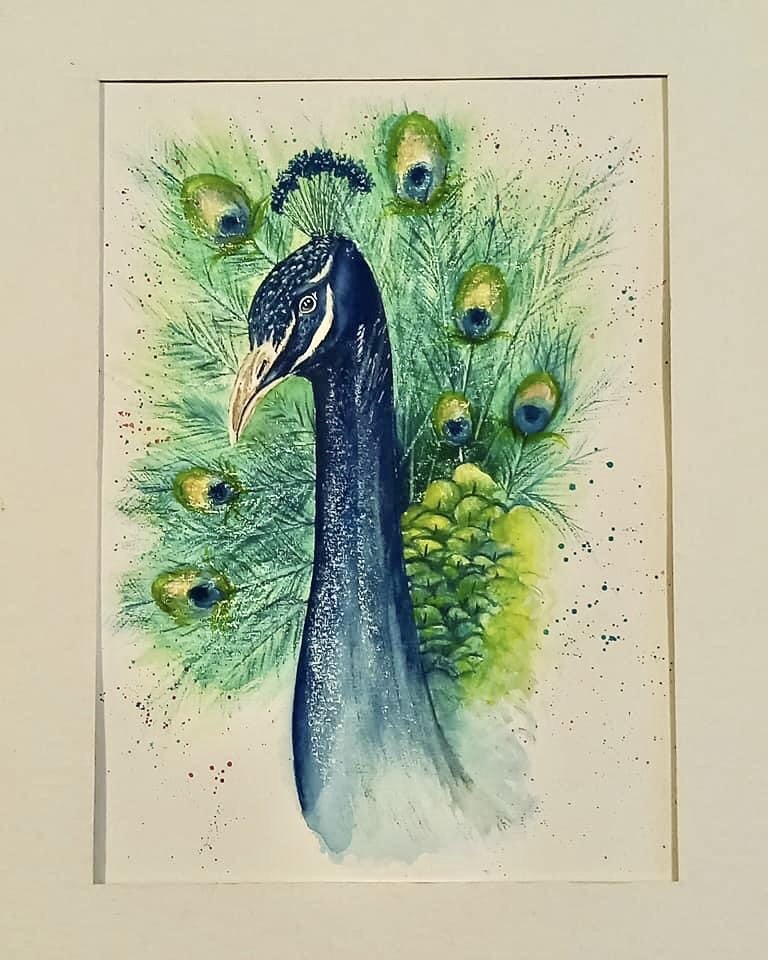 Peacock