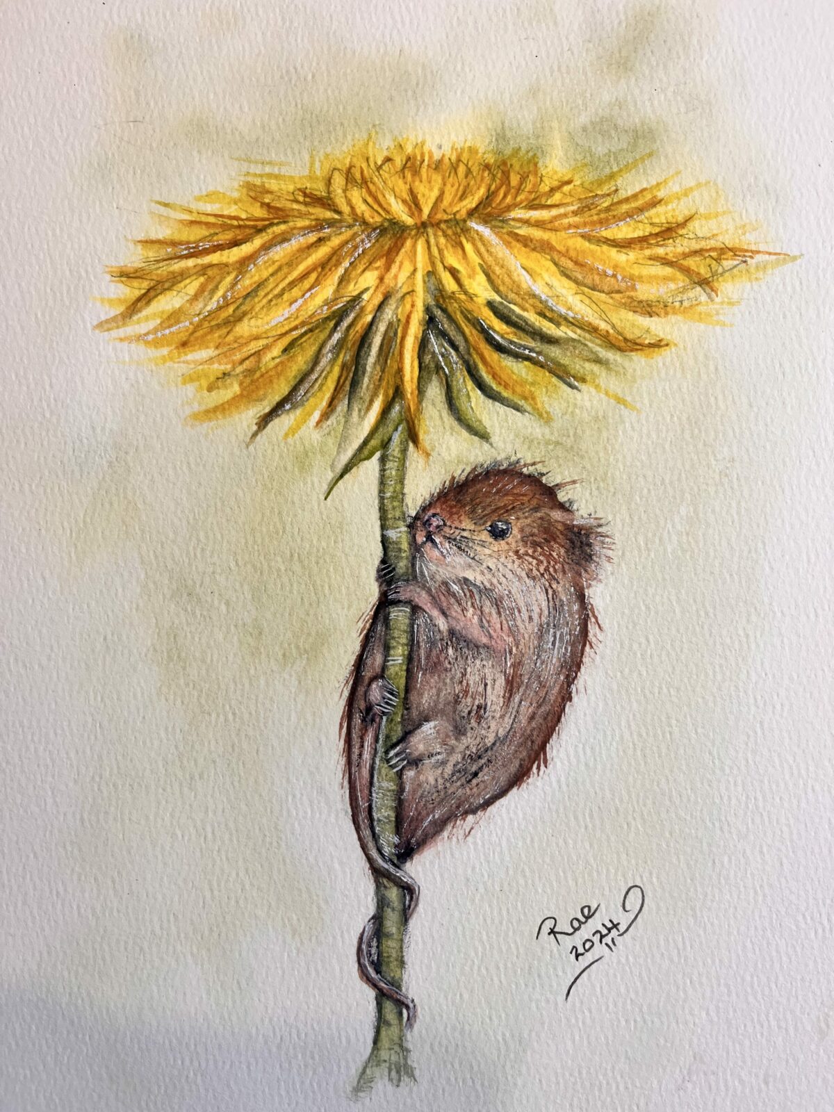 Harvest Mouse on a Flower