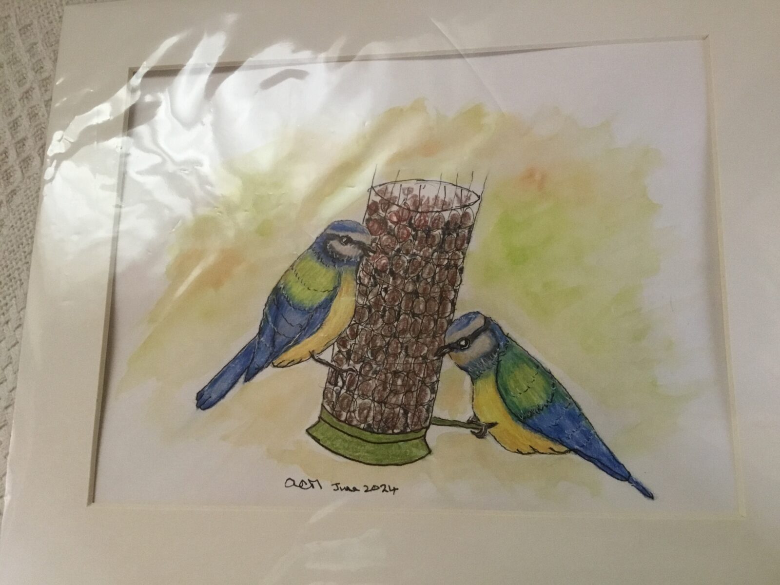 Blue Tits on Feeder