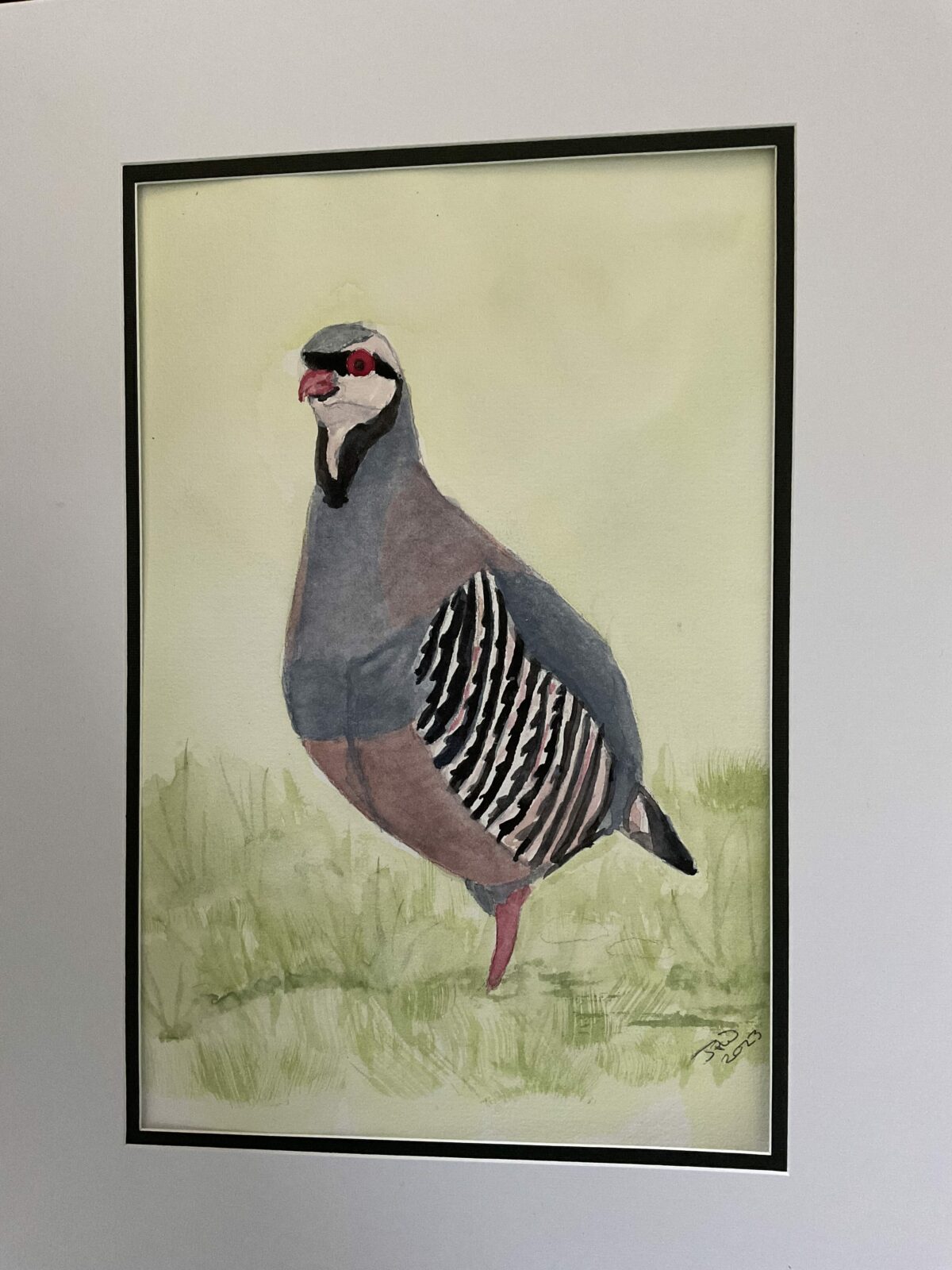 Pheasant