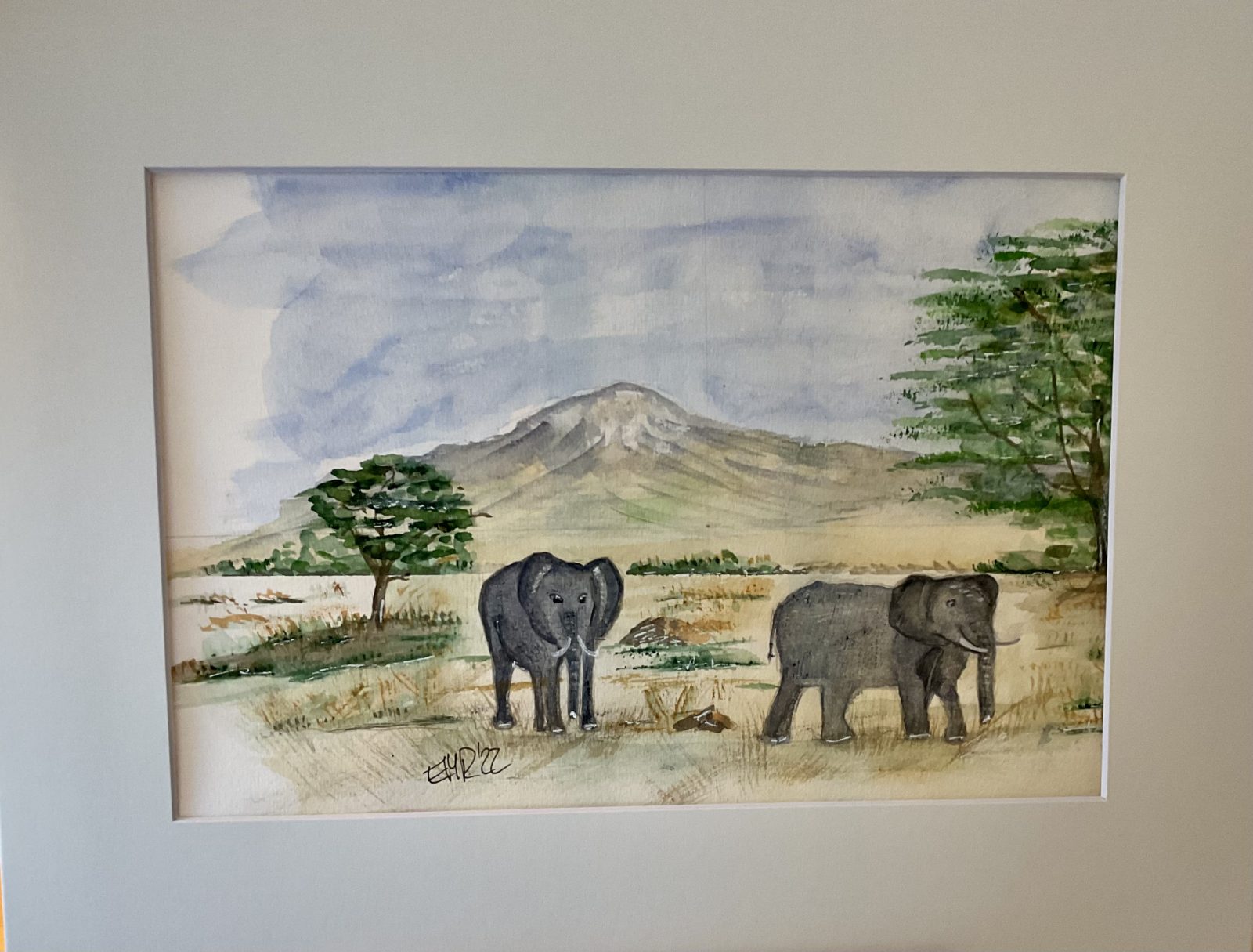 Elephants
