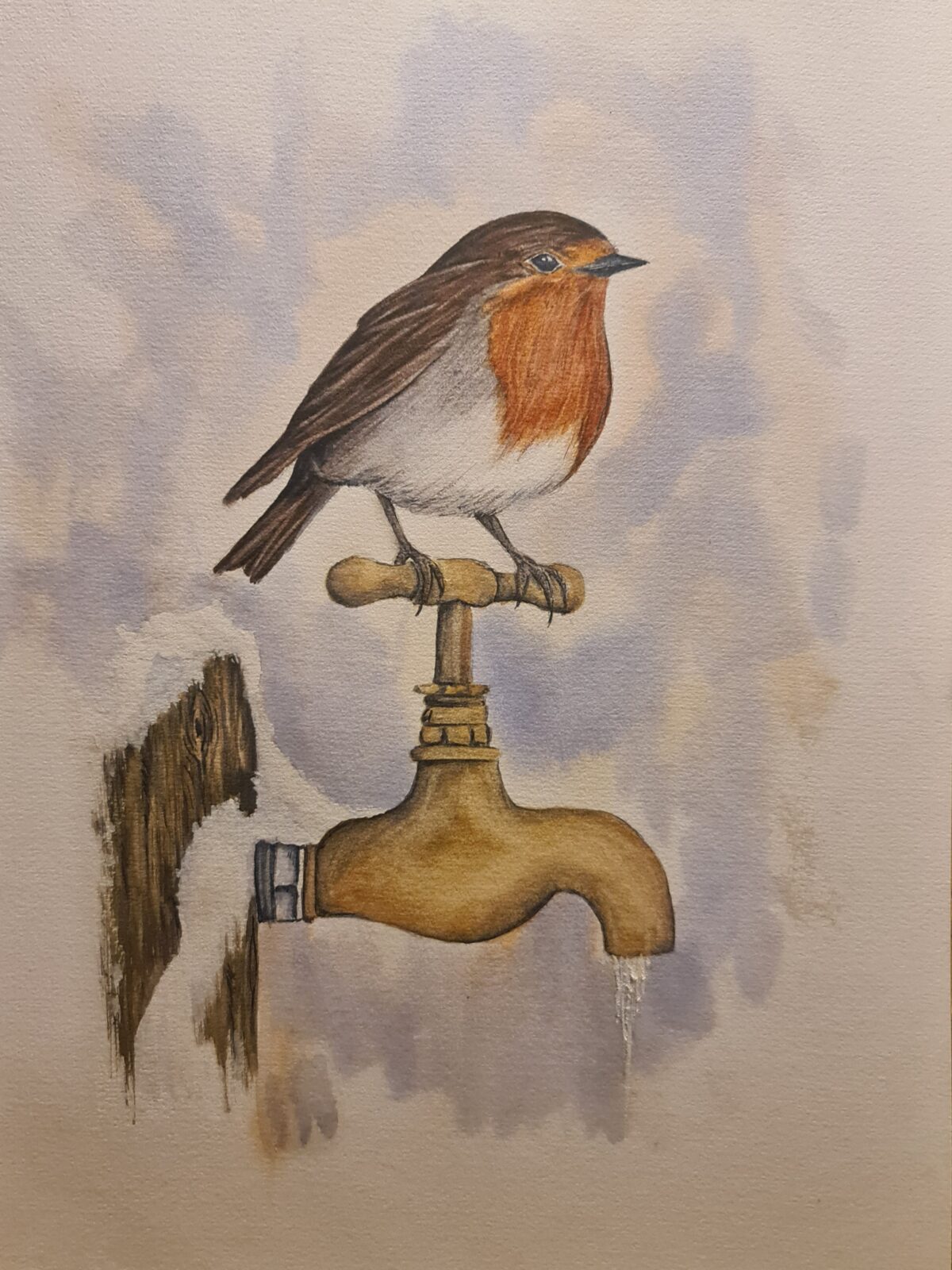 Robin on a frozen tap