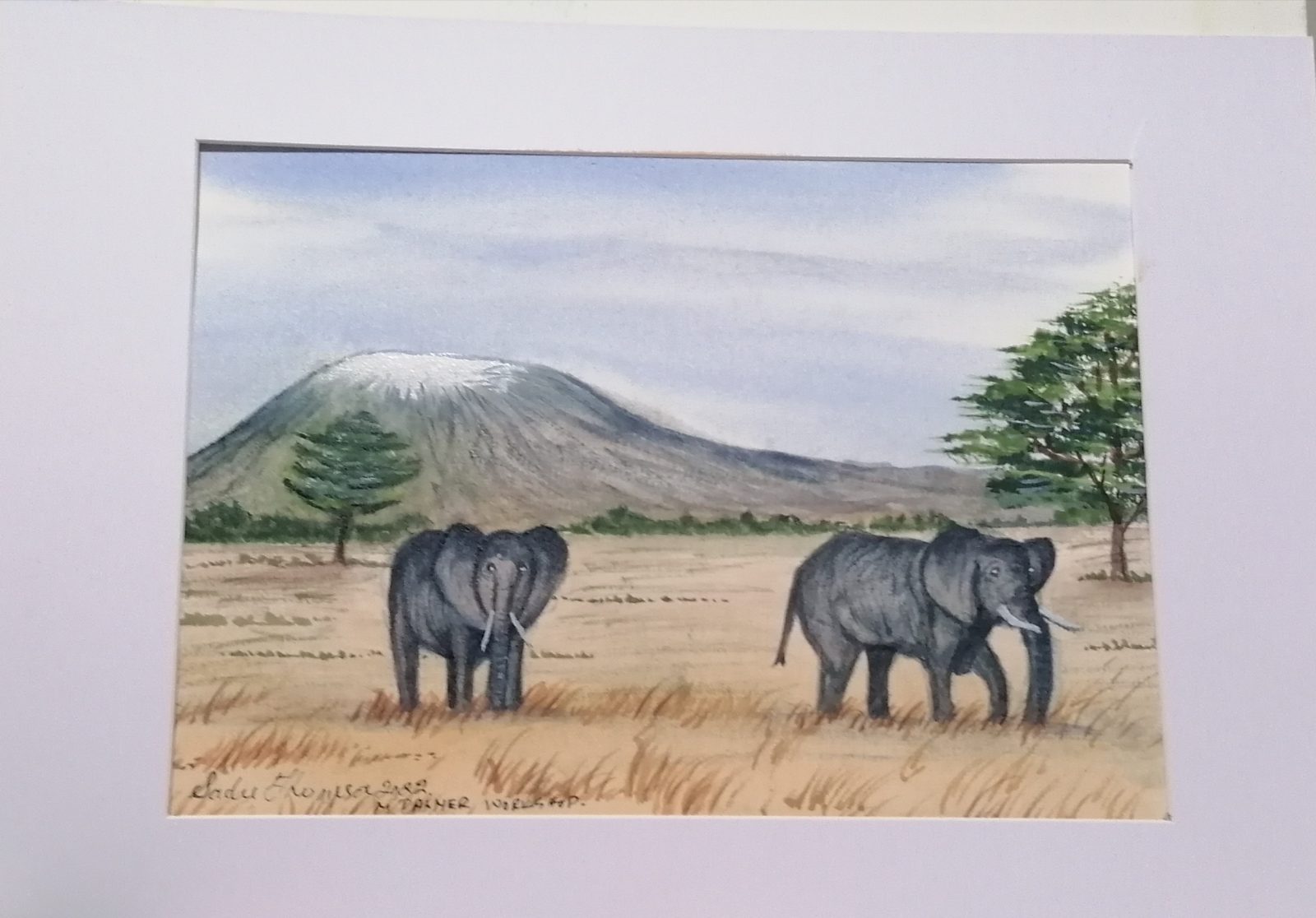 Elephants and Mount Kilimanjaro