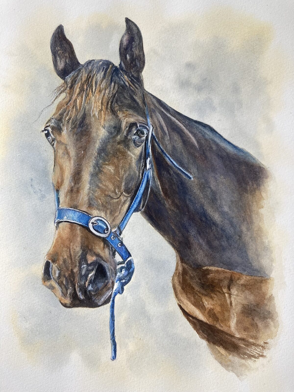 A HORSE PORTRAIT