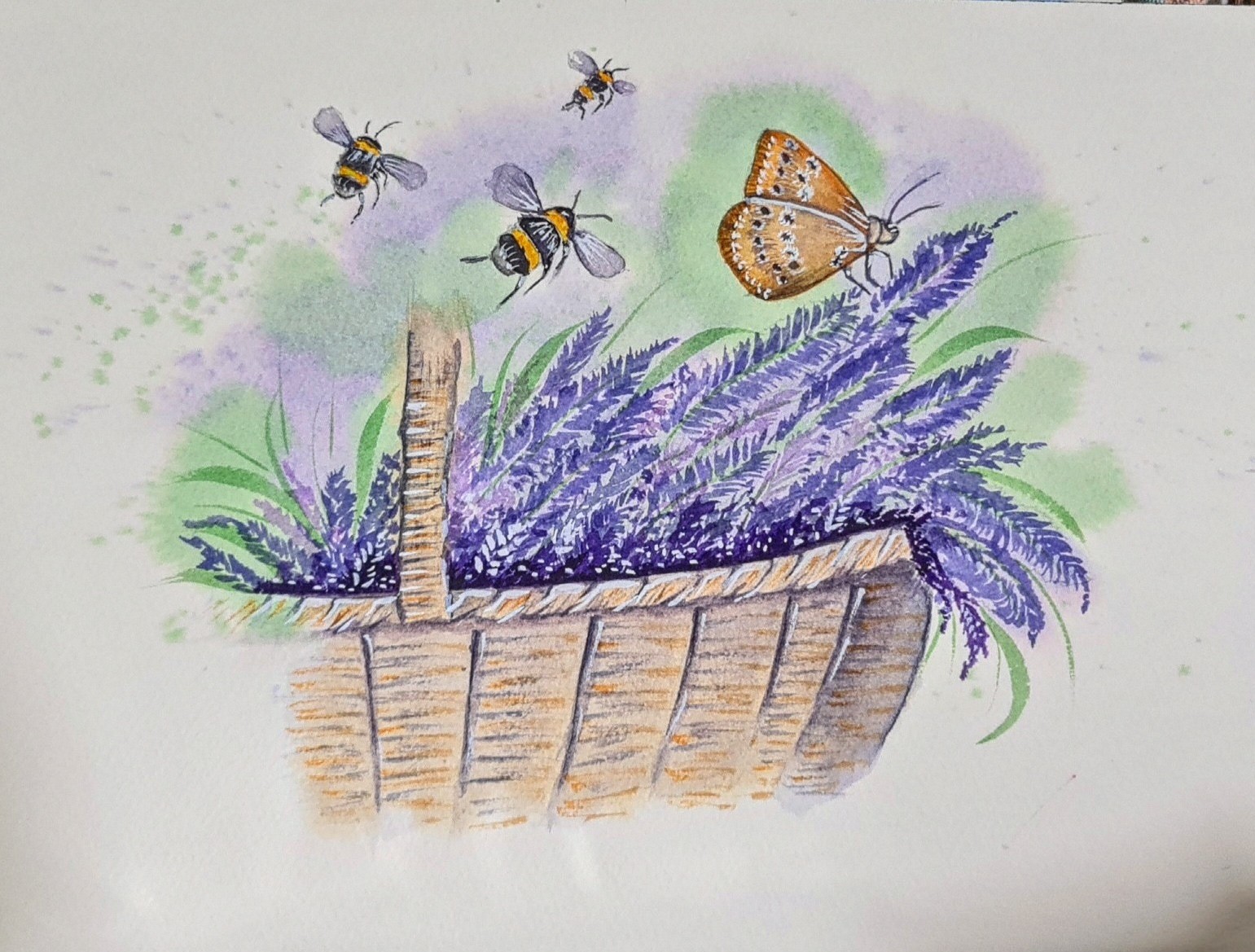 Bumble Bees and Butterfly
