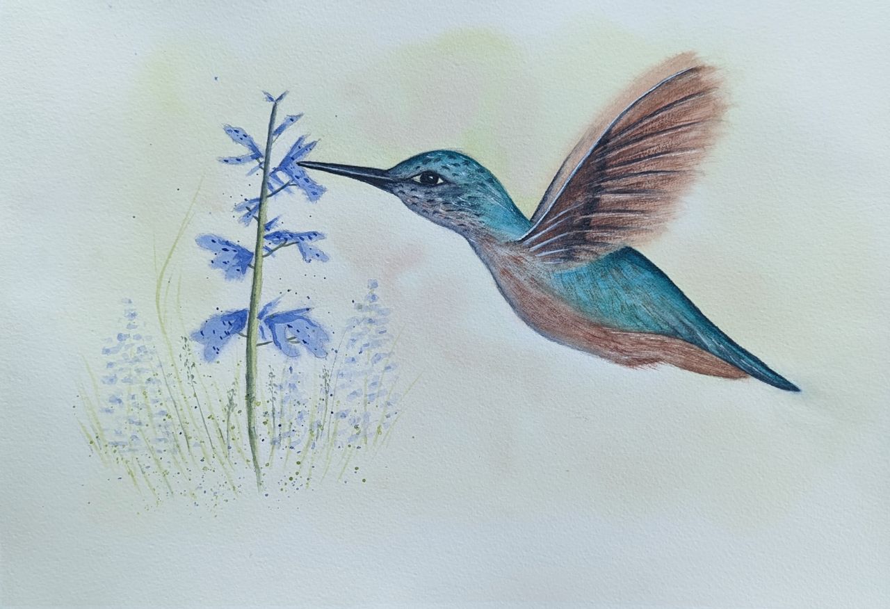 Hummingbird