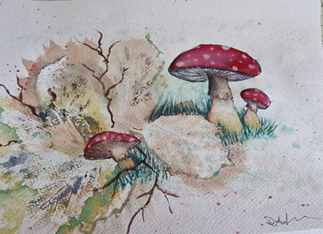 Autumn toadstools