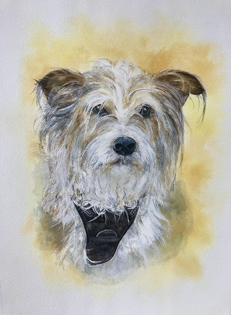 MONTY