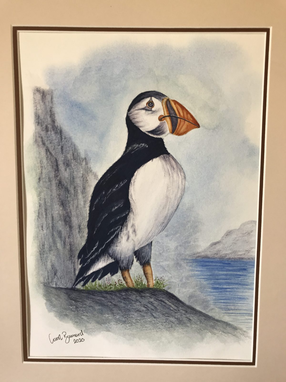 Puffin