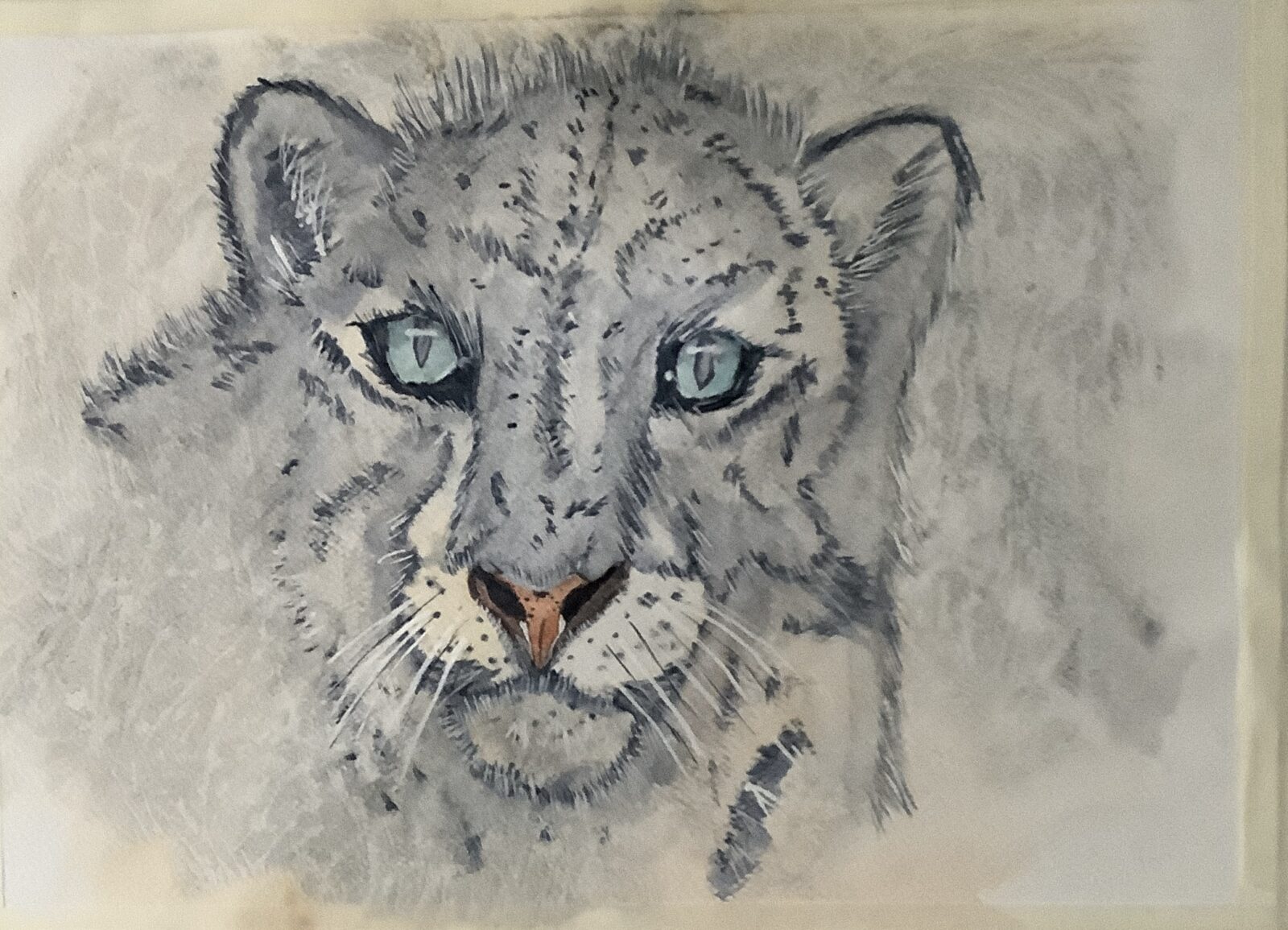 Snow leopard