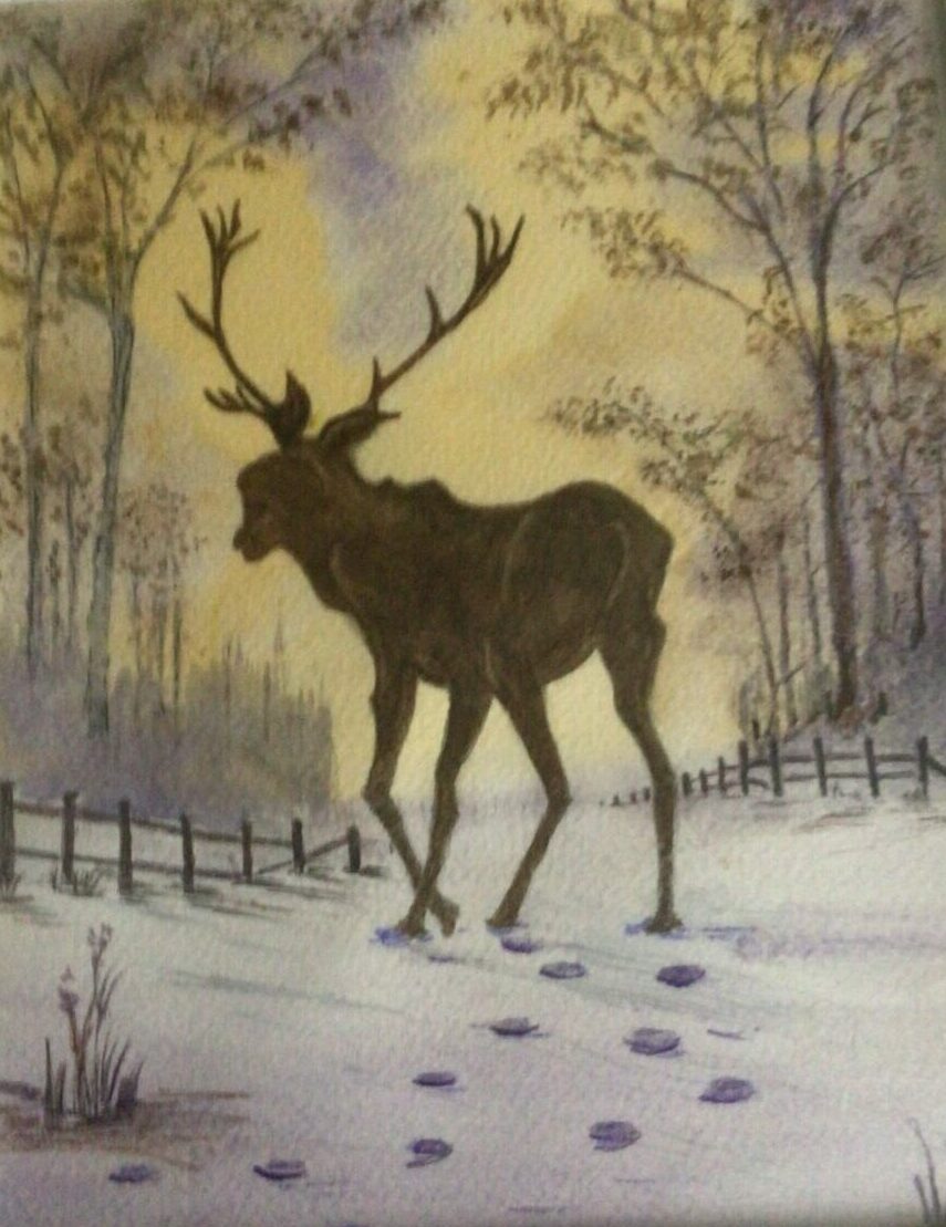 Stag in snow