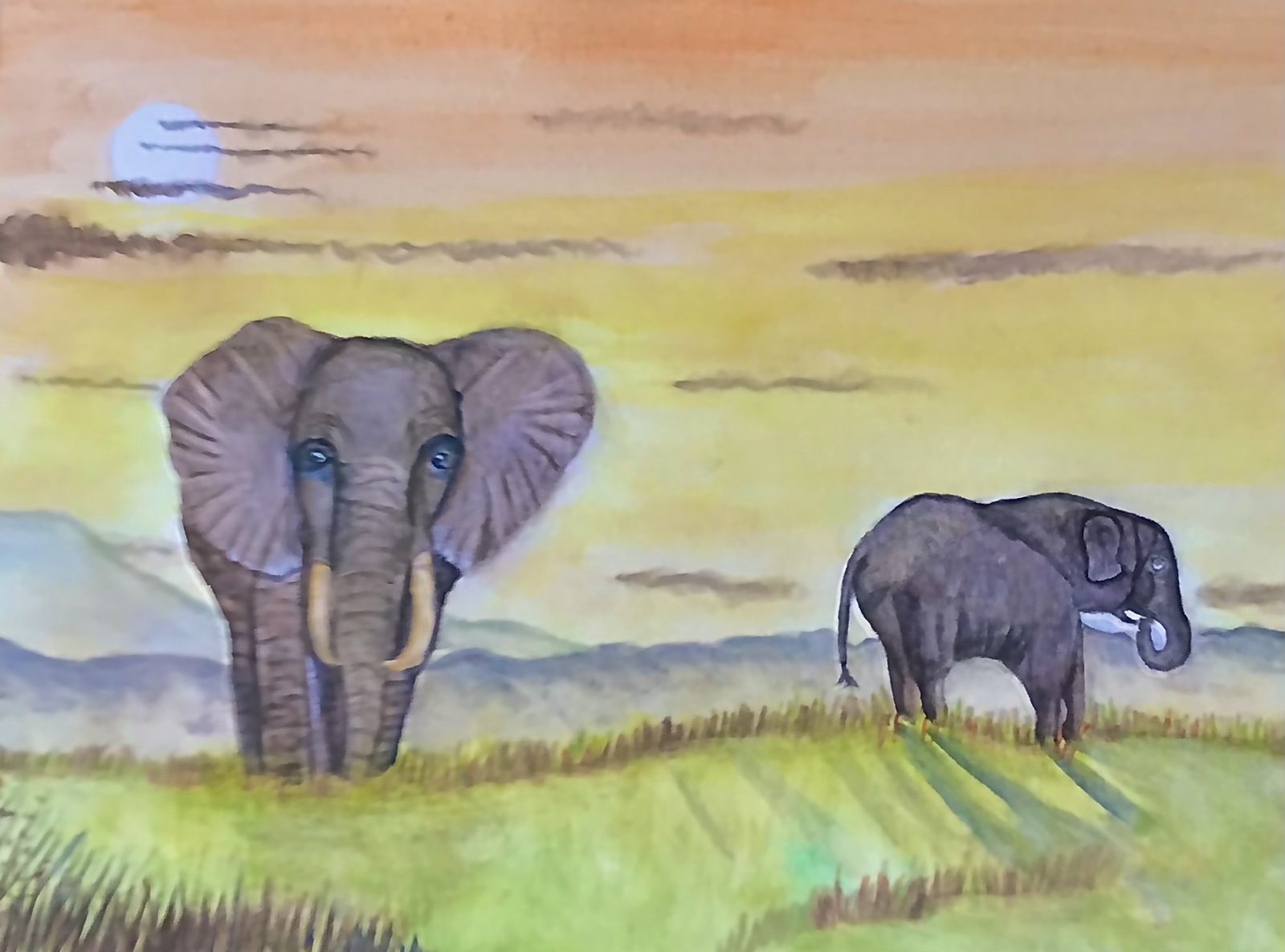 Elephants