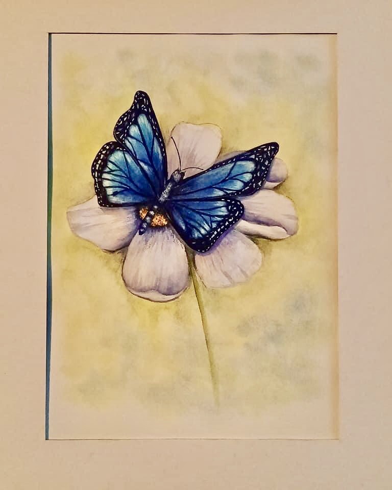 Blue Monarch