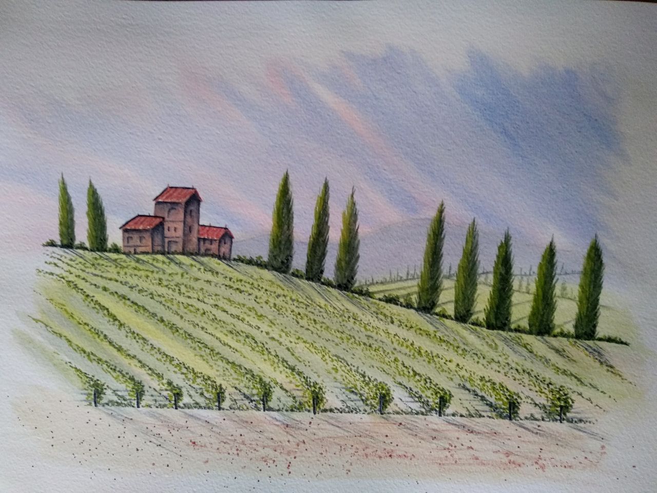 A Beautiful Tuscan Vineyard