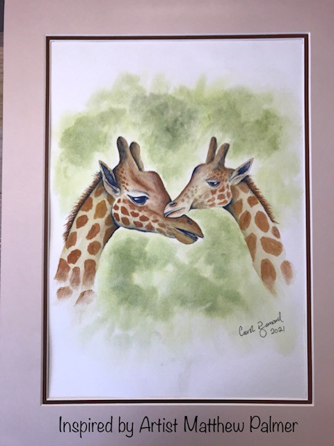 Giraffes