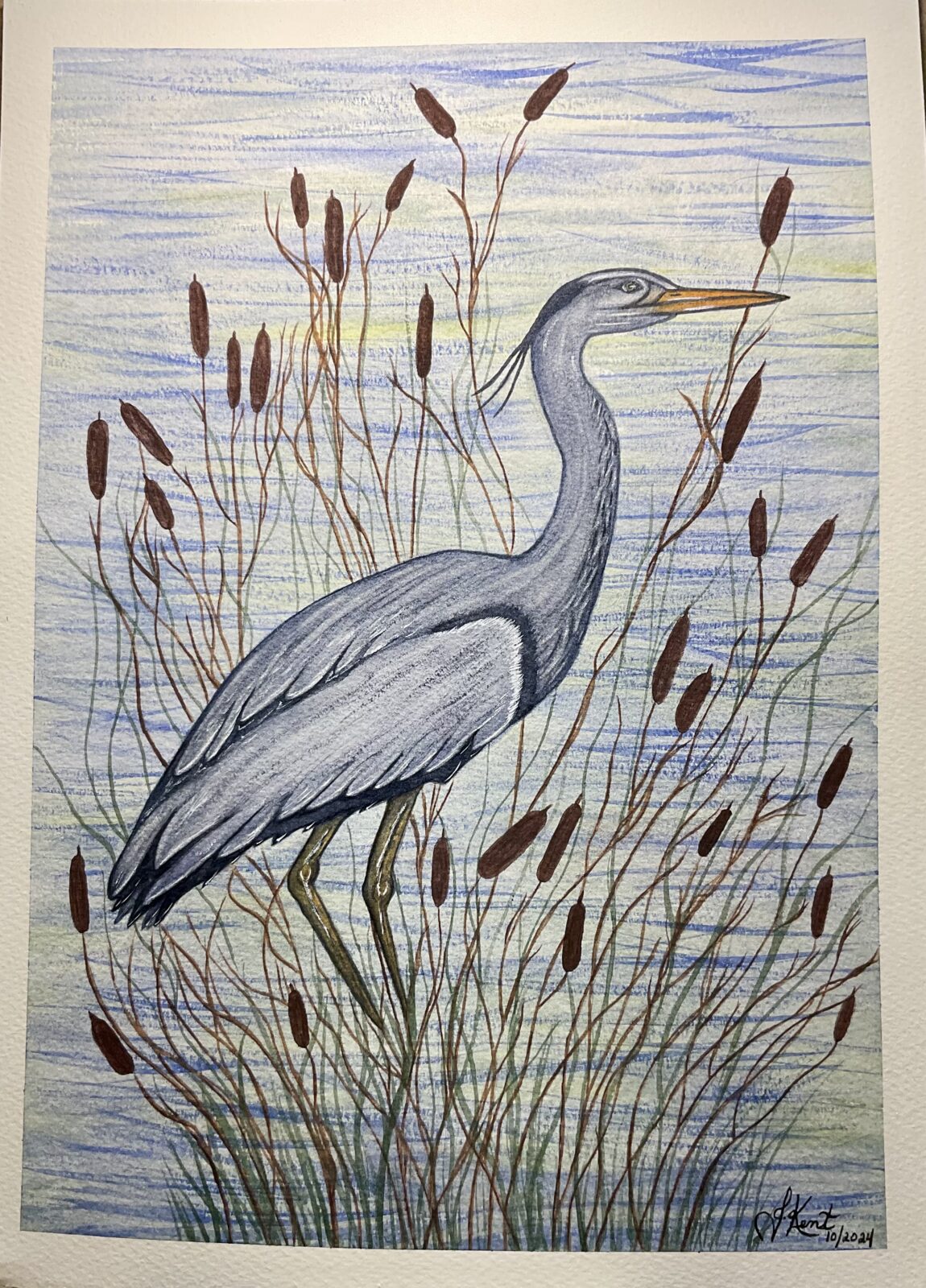 A Majestic Heron Perched Amongst Bulrushes By A River