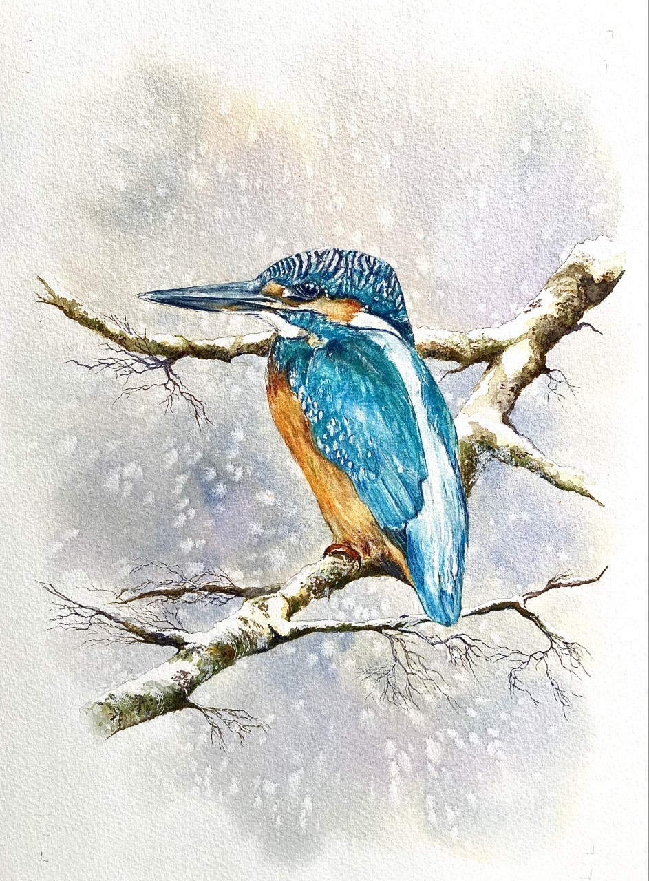 Kingfisher