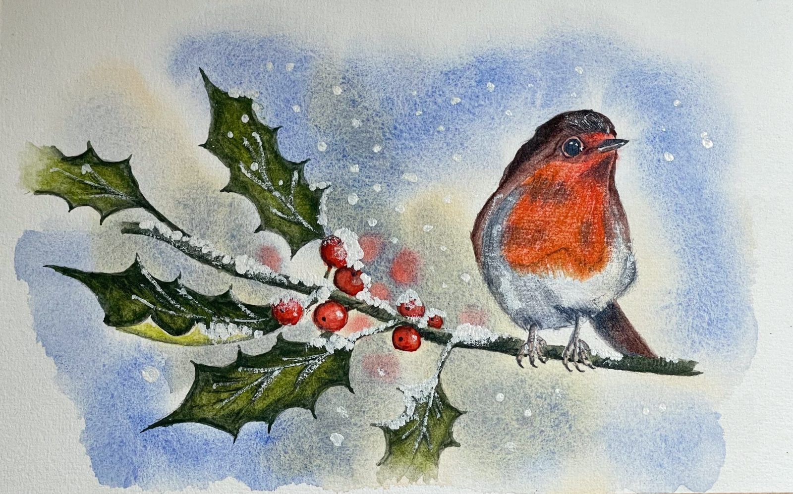 Robin on Holly