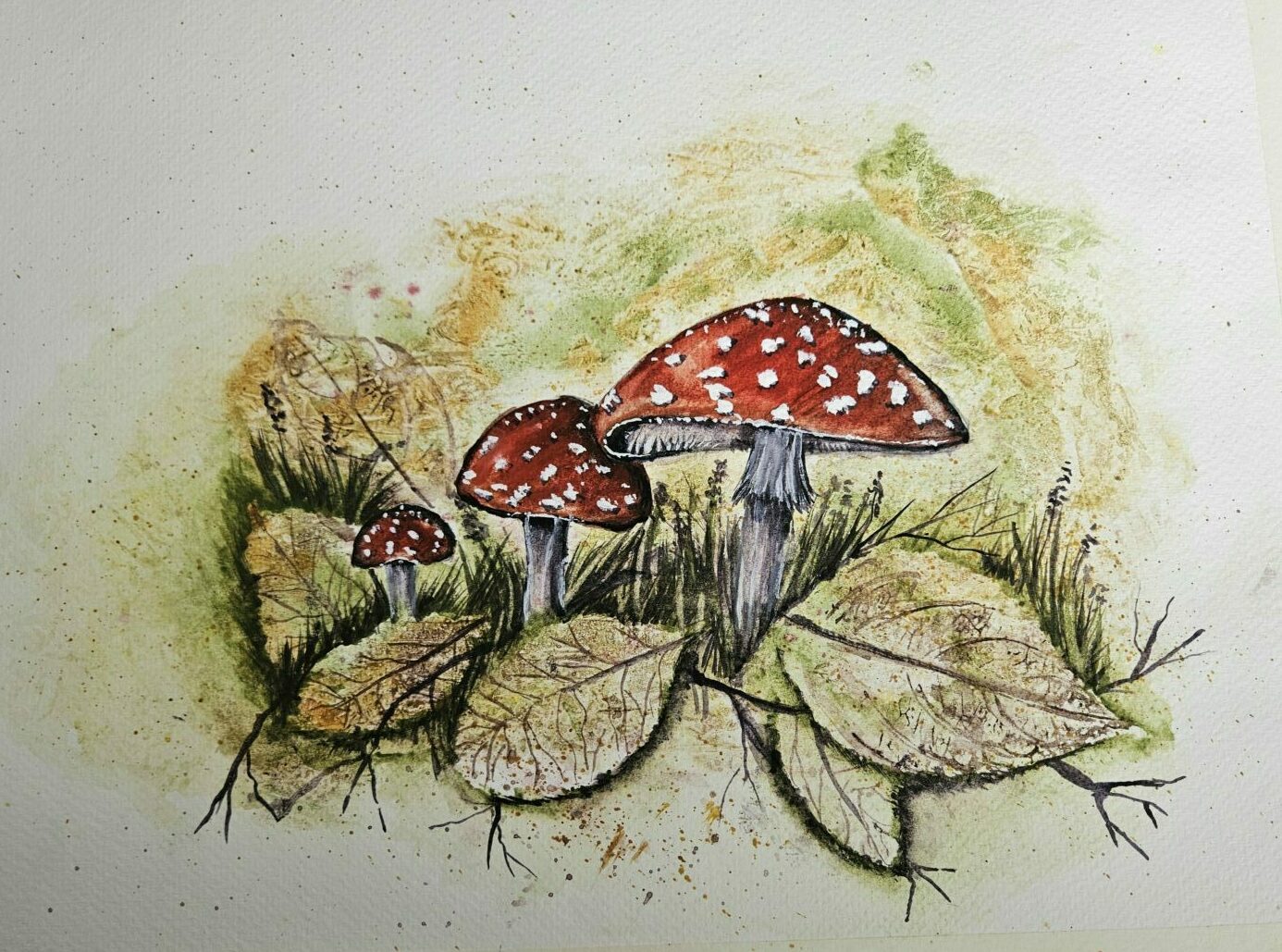 Toadstools