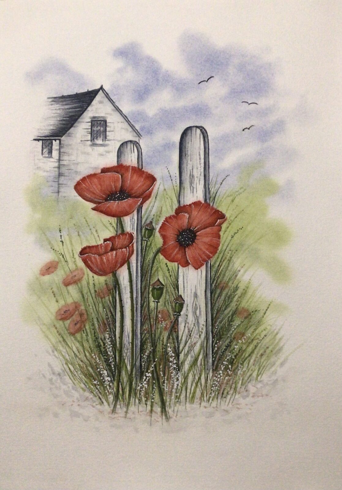 Remembrance Poppies