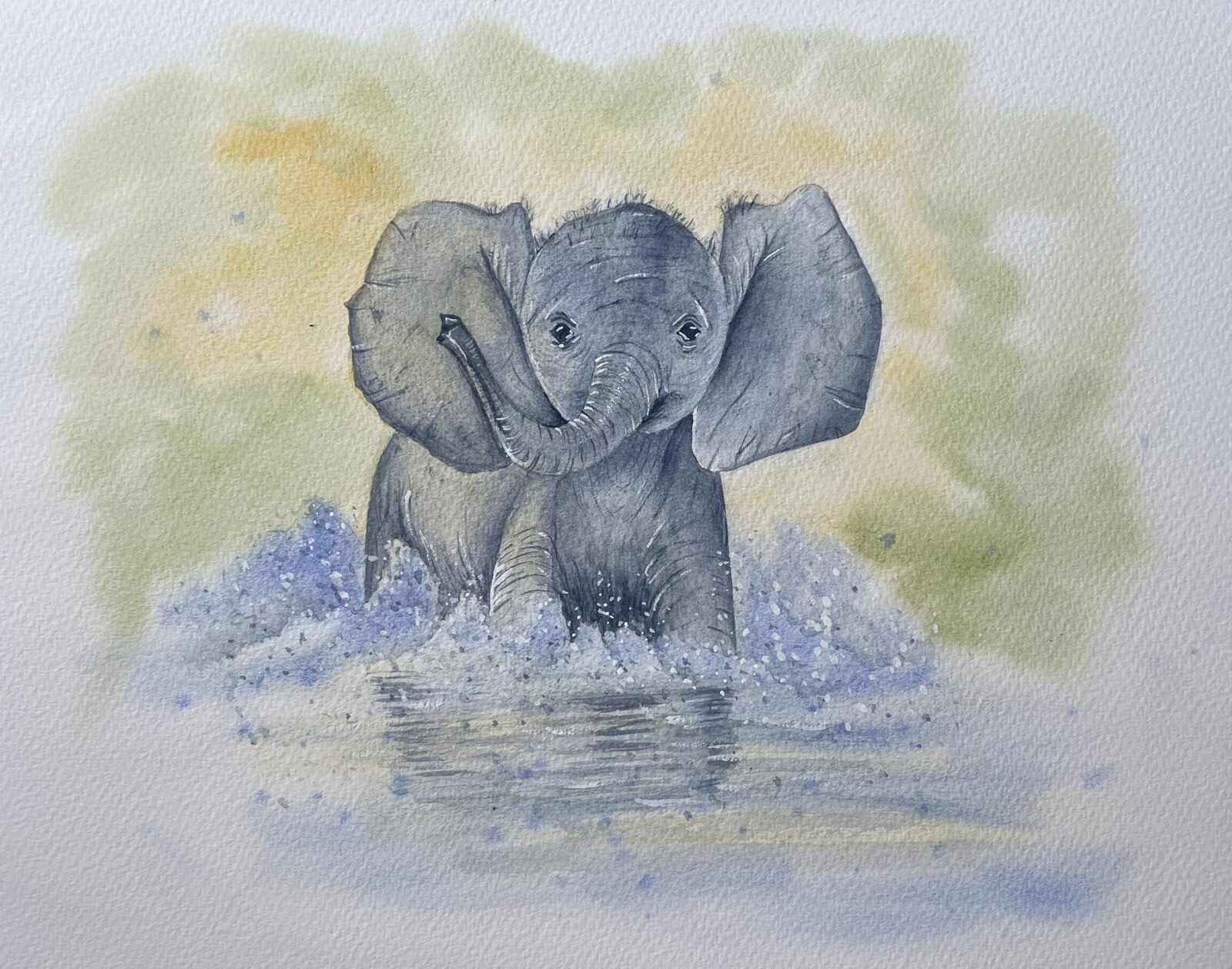 Baby Elephant