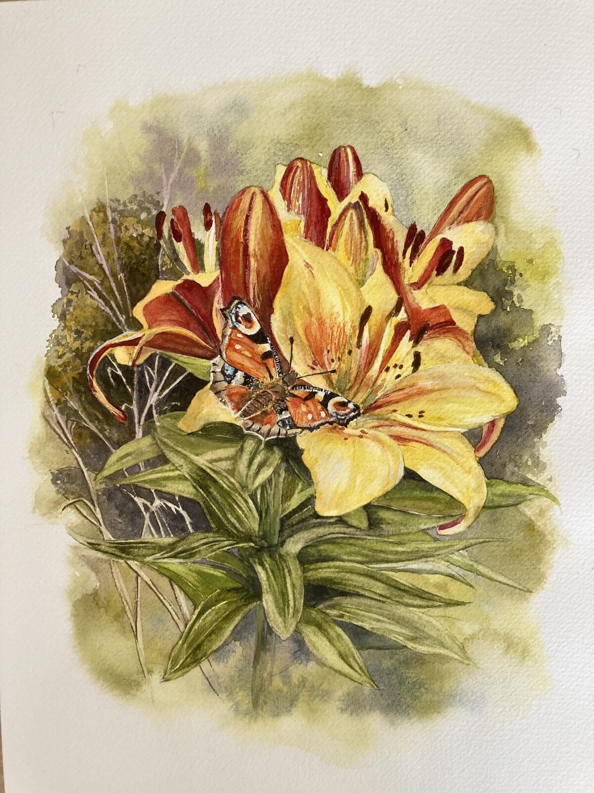 Peacock Butterfly On Golden Lillies