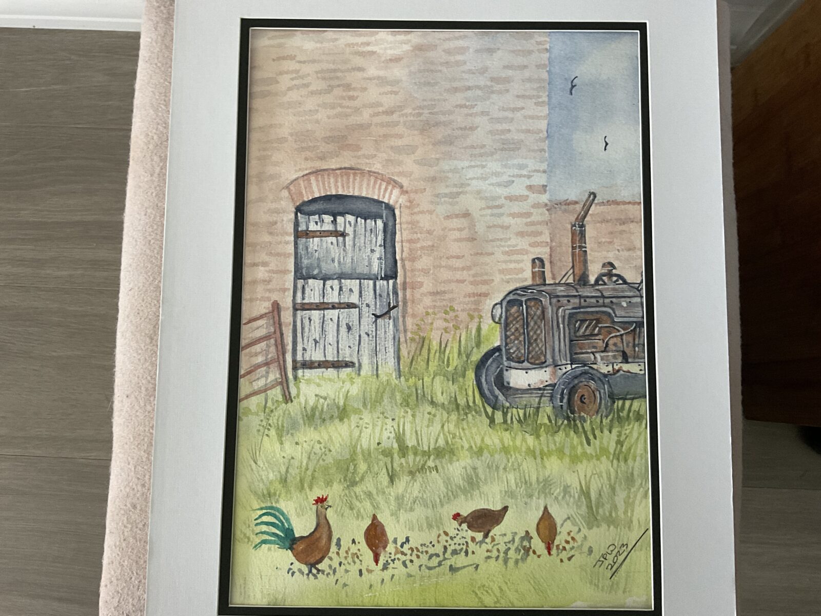 Chickens on Farm
