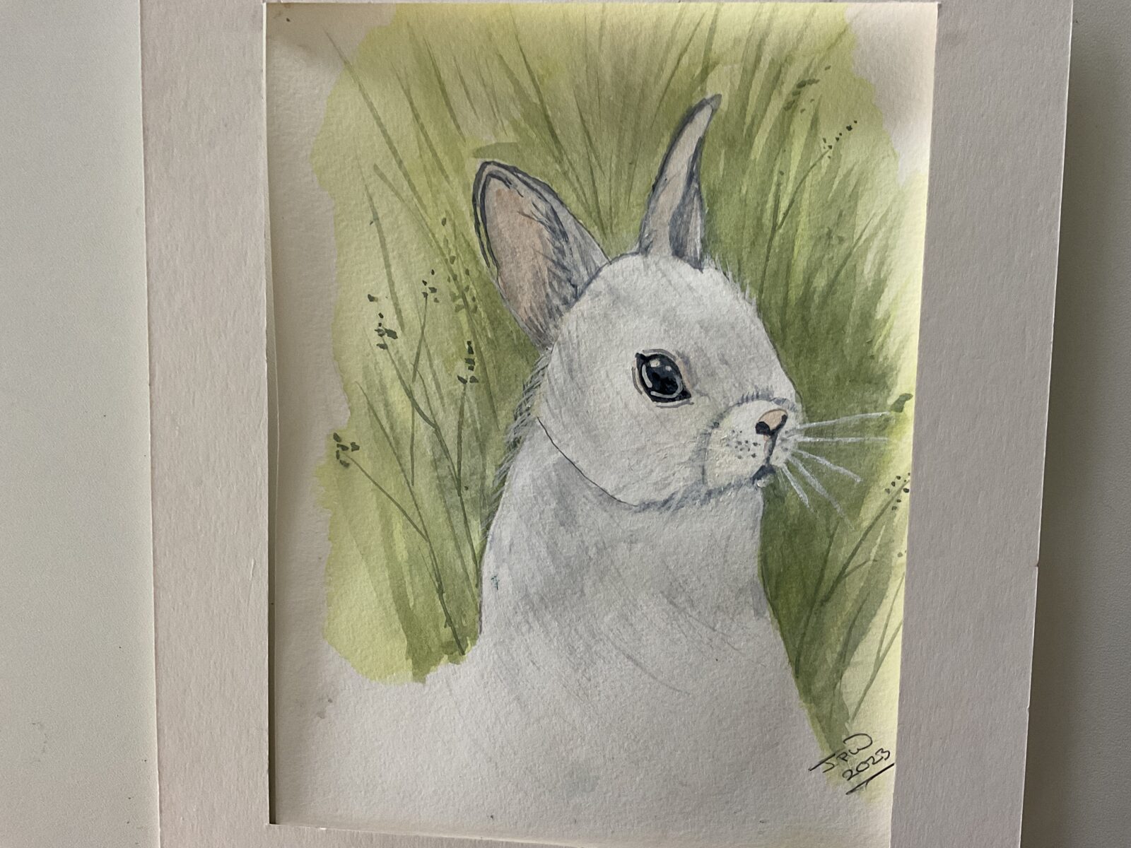White Bunny