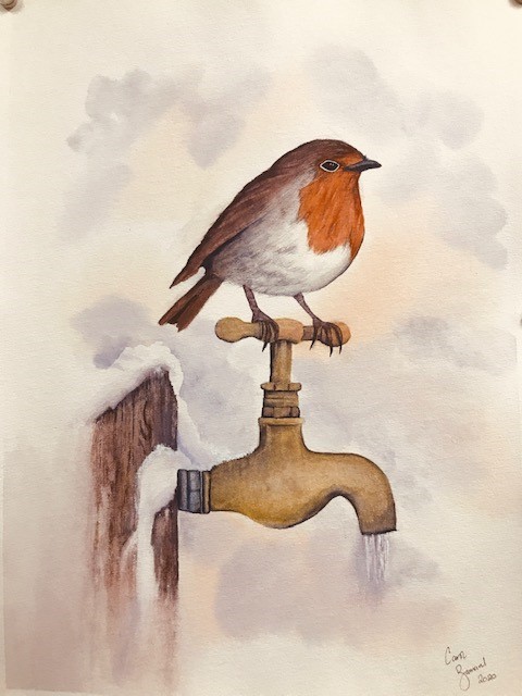 Robin on a tap