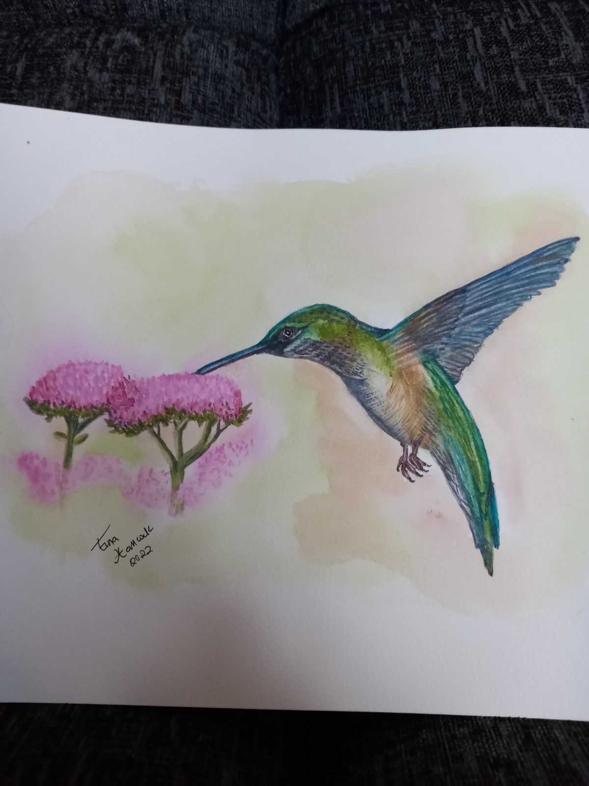 Hummingbird