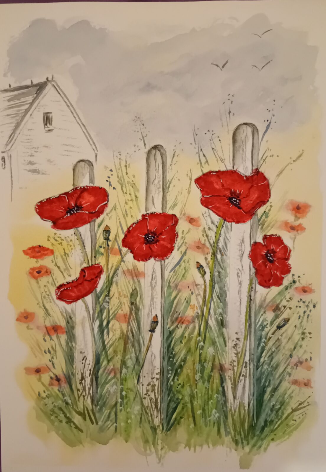 Poppies