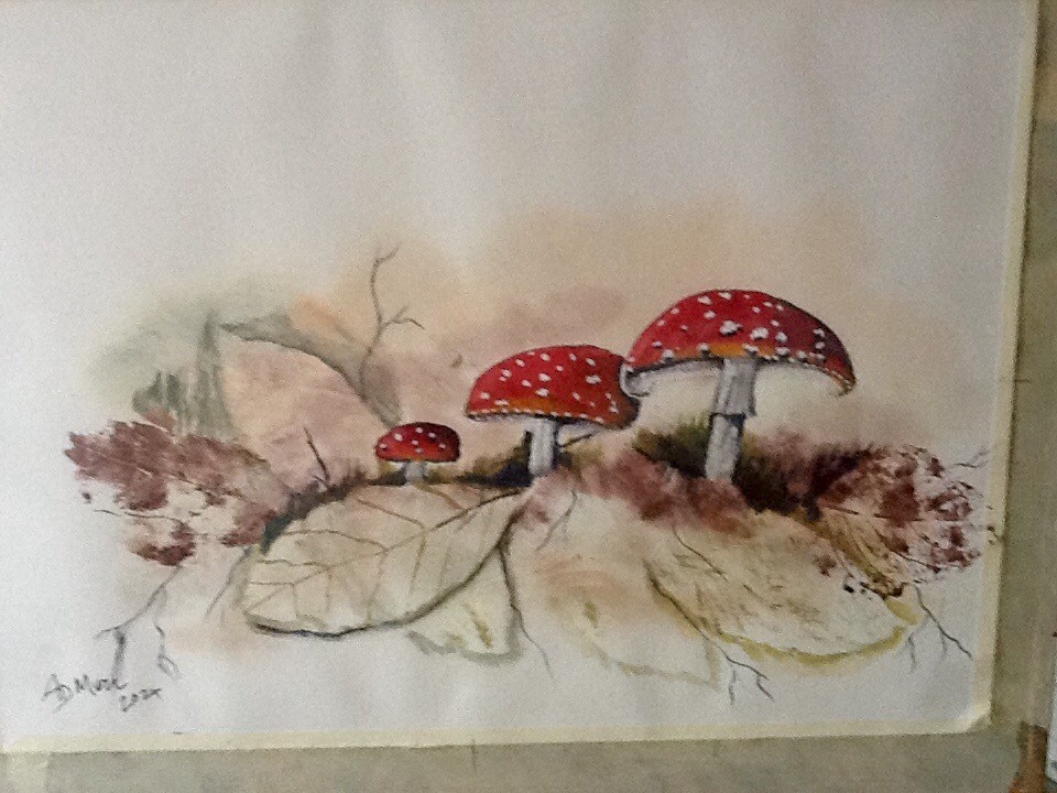 Toadstools