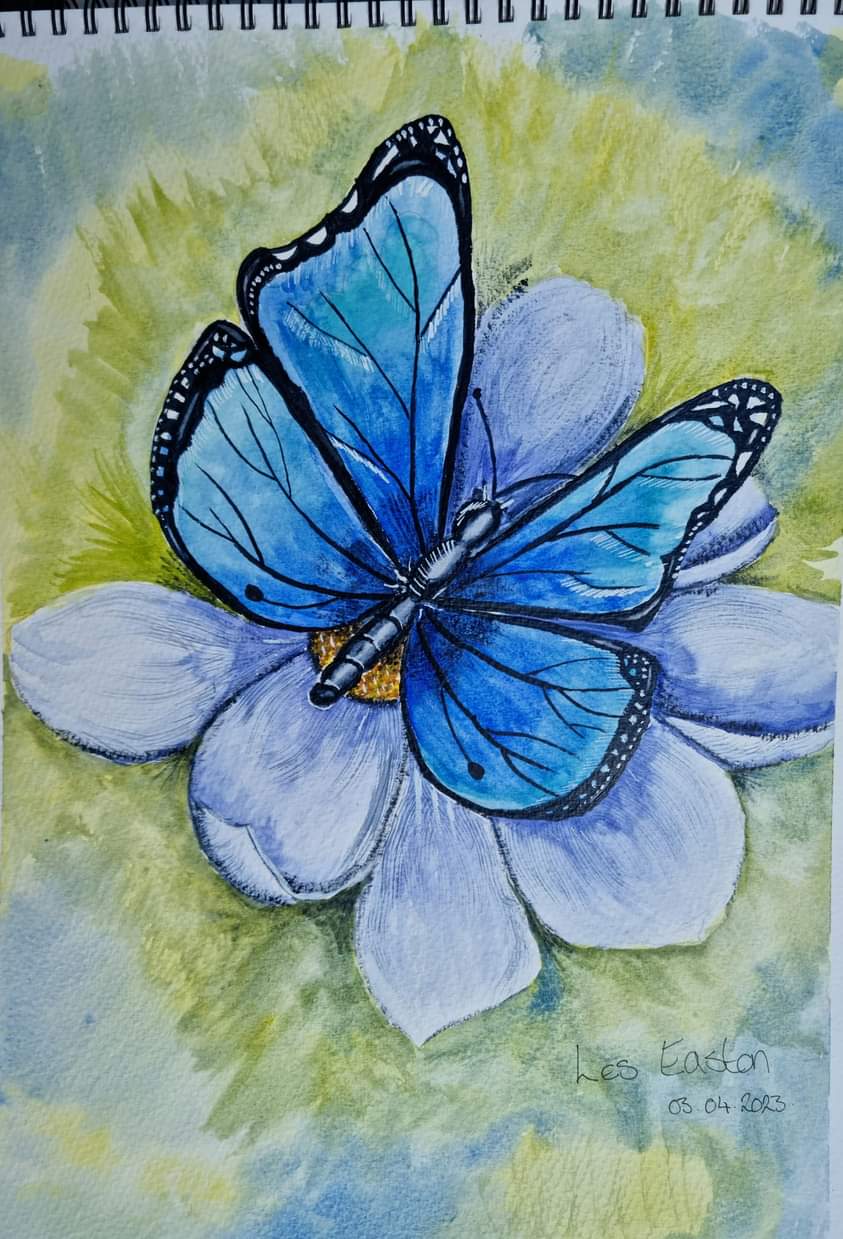 Blue Monarch Butterfly on a flower