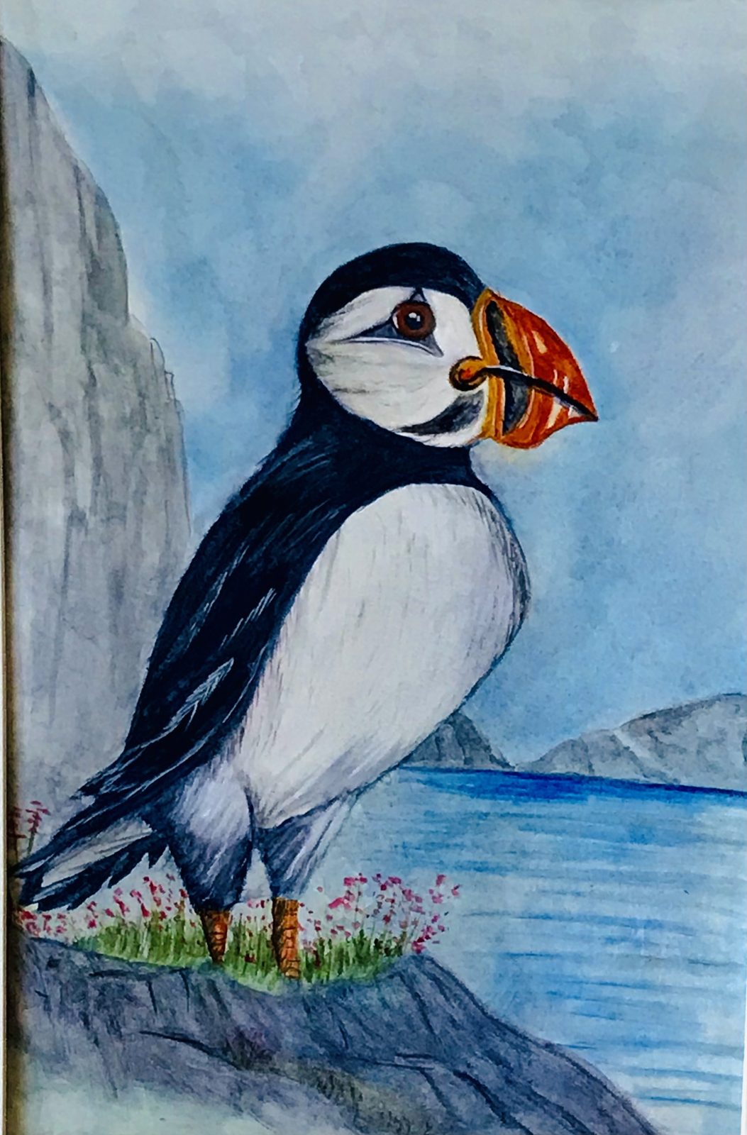 Puffin