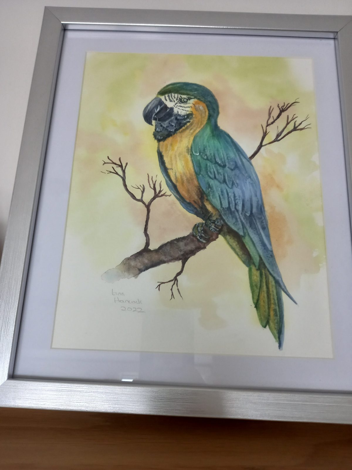 Parrott